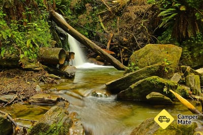 Bush Creek Trail