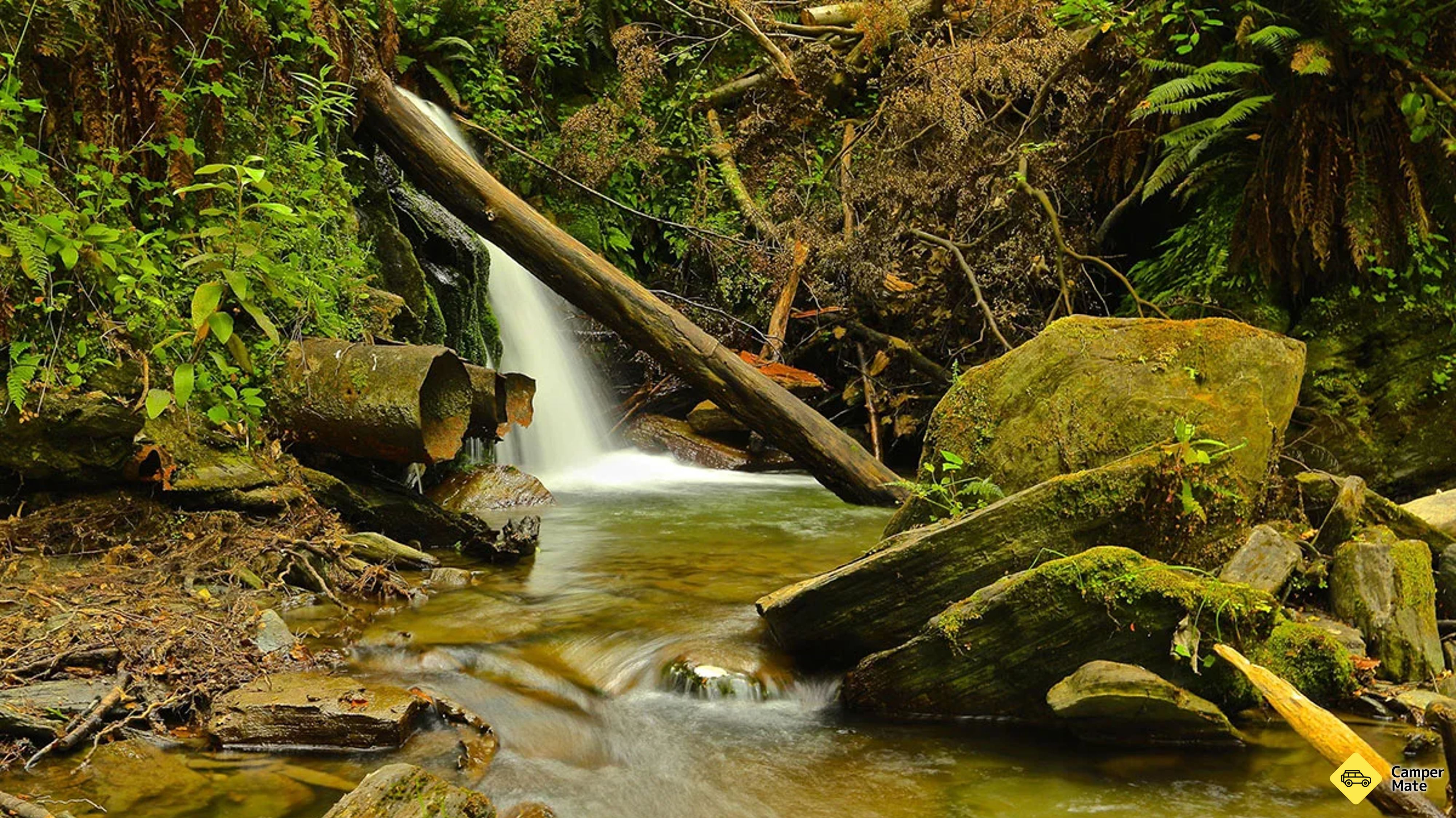 Bush Creek Trail