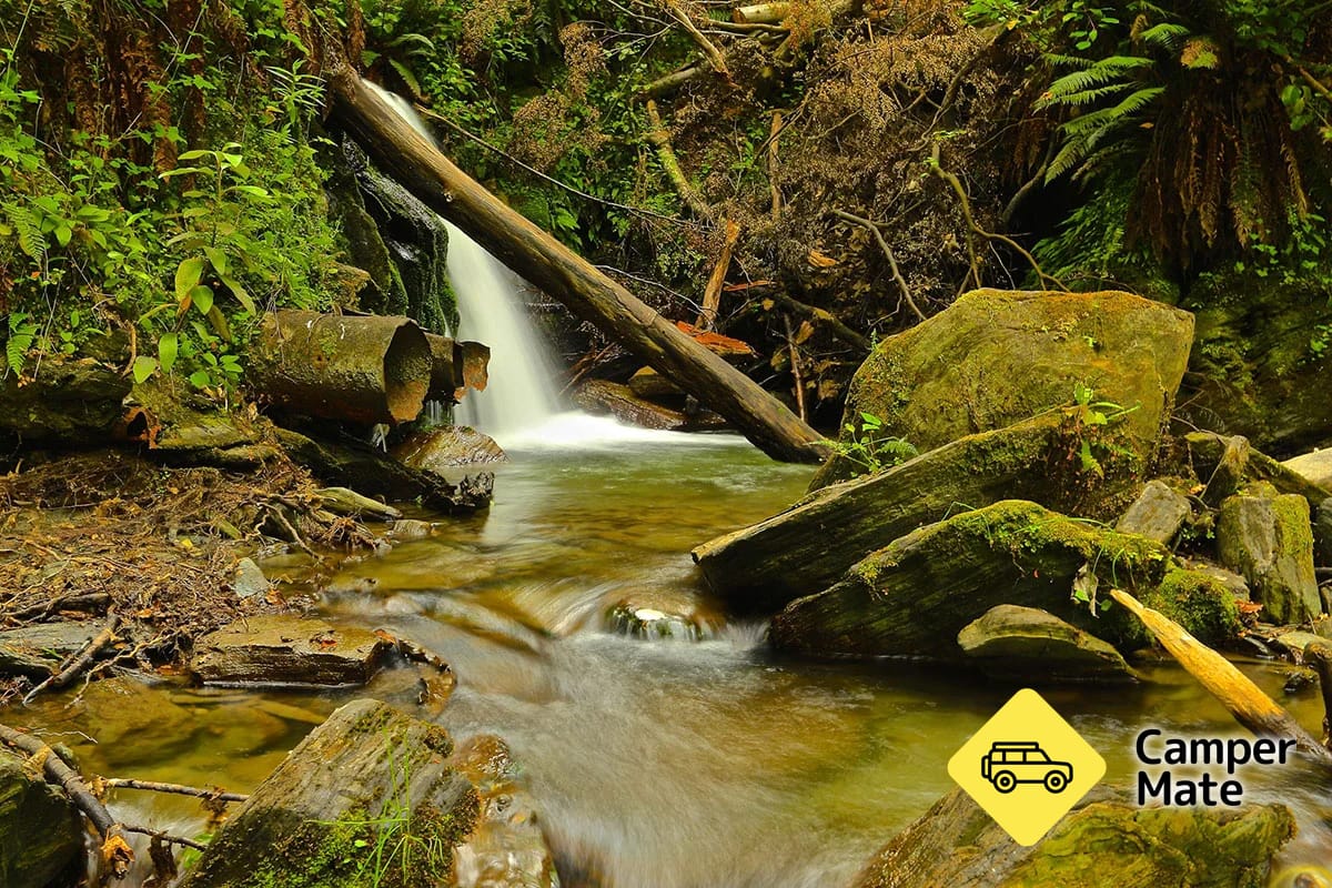 Bush Creek Trail