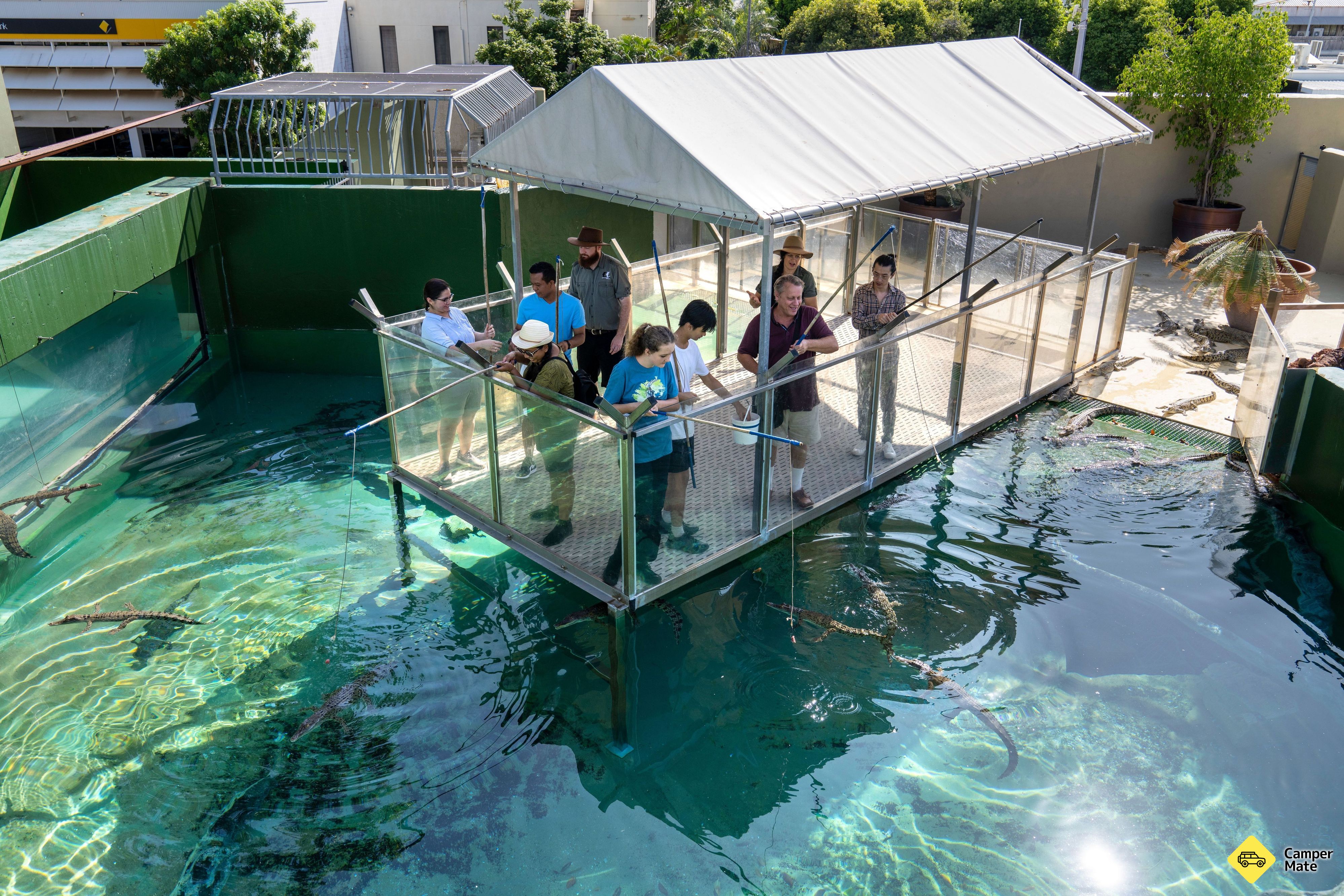 Crocosaurus Cove Crocodile Park - Image 2