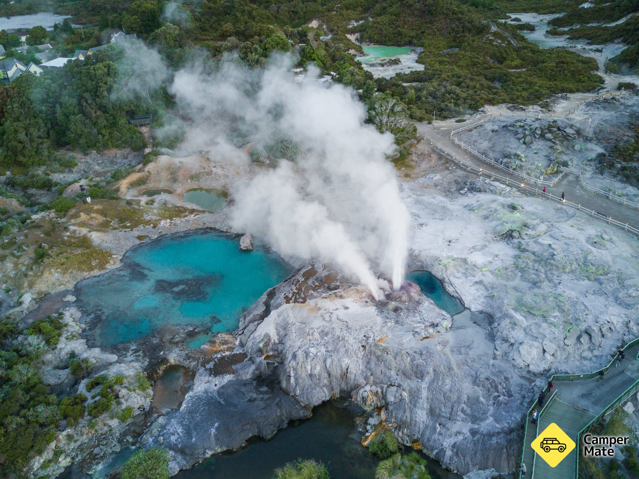 Te Puia Geothermal and Maori Culture Experience