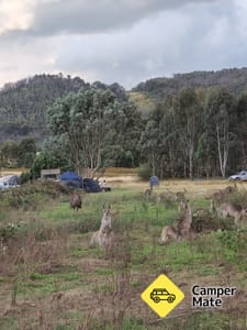Yachting Point Campground 부근의 호텔