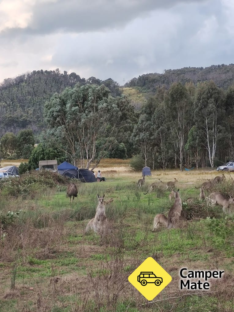 Yachting Point Campground 부근의 호텔