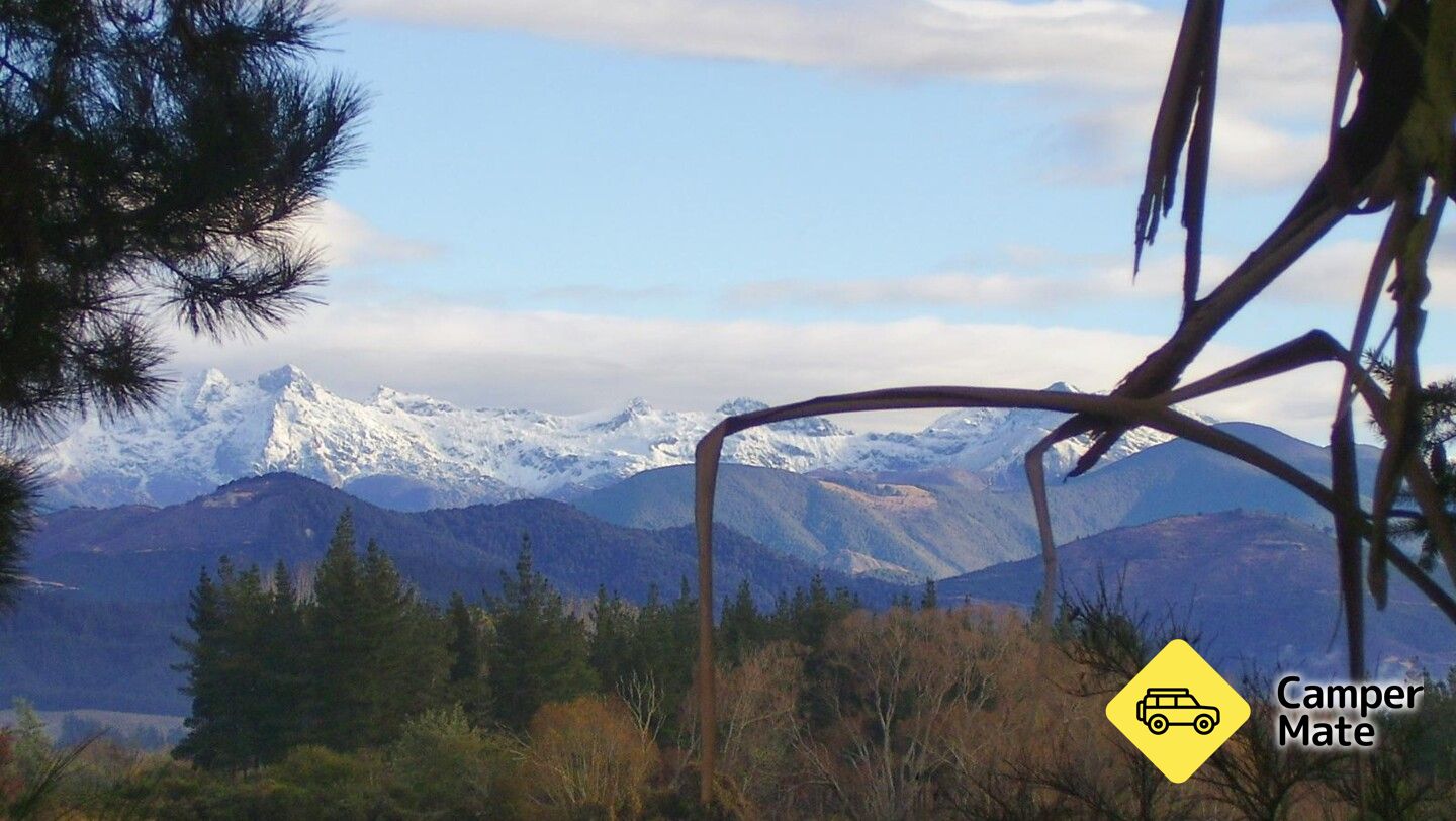 Tapawera Campground - Image 3