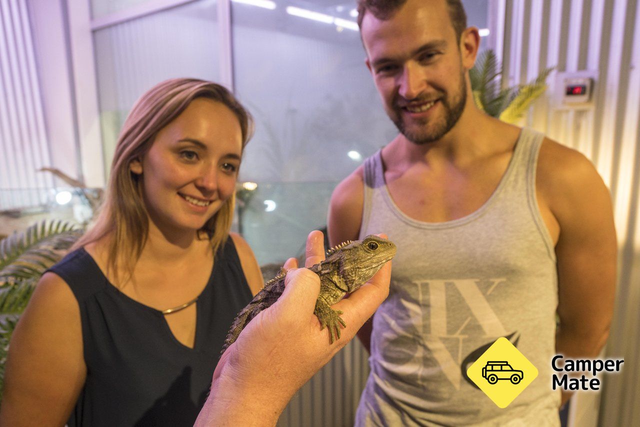 West Coast Wildlife Centre - Image 3