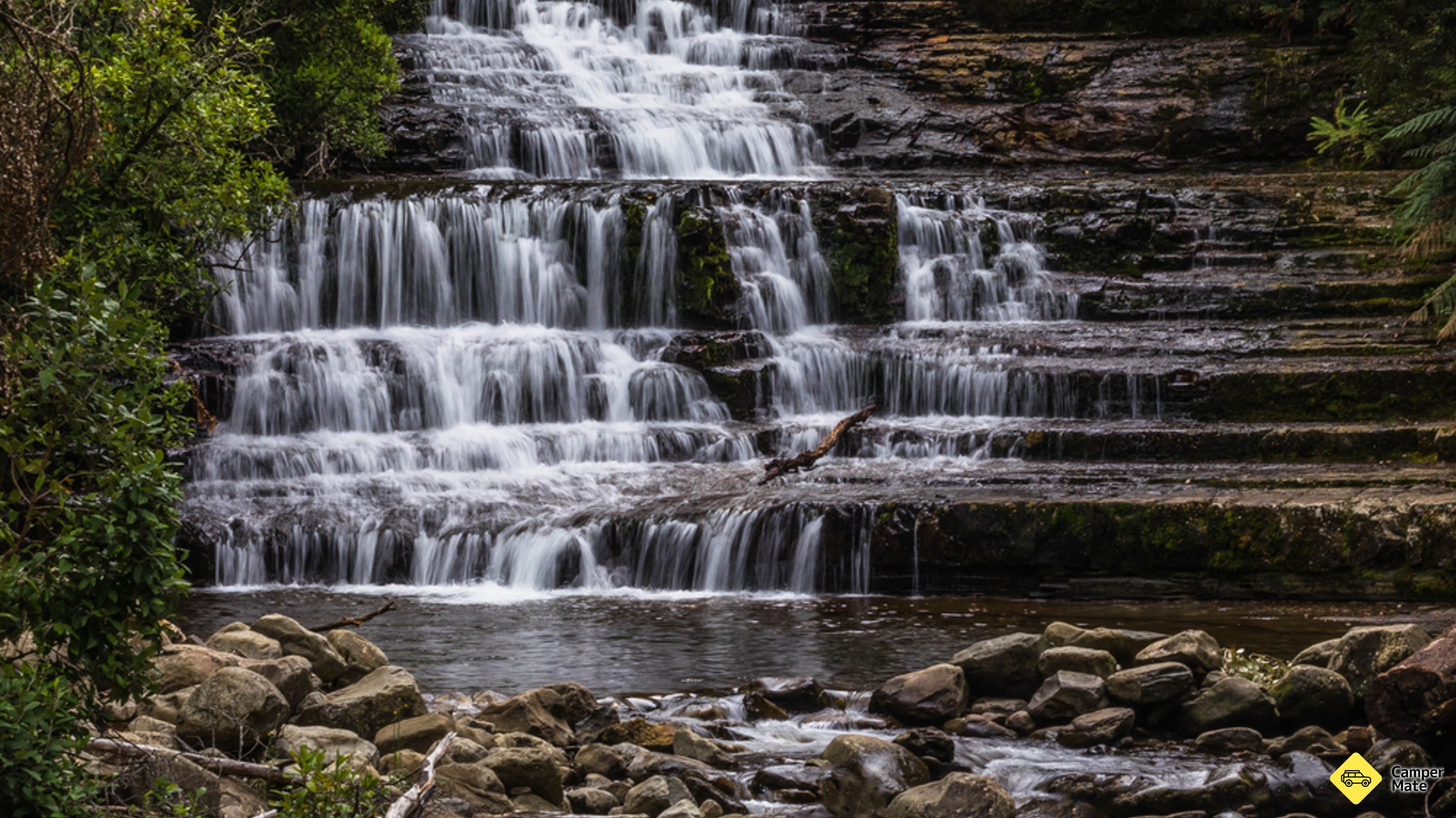 Cammina di Liffey Falls