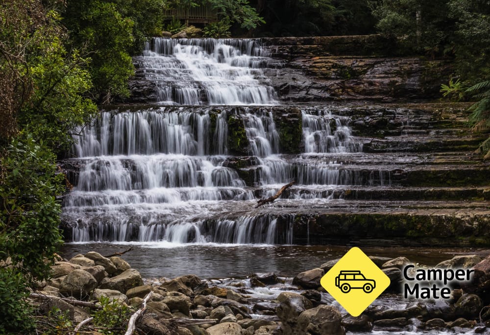 Liffey Falls Walk