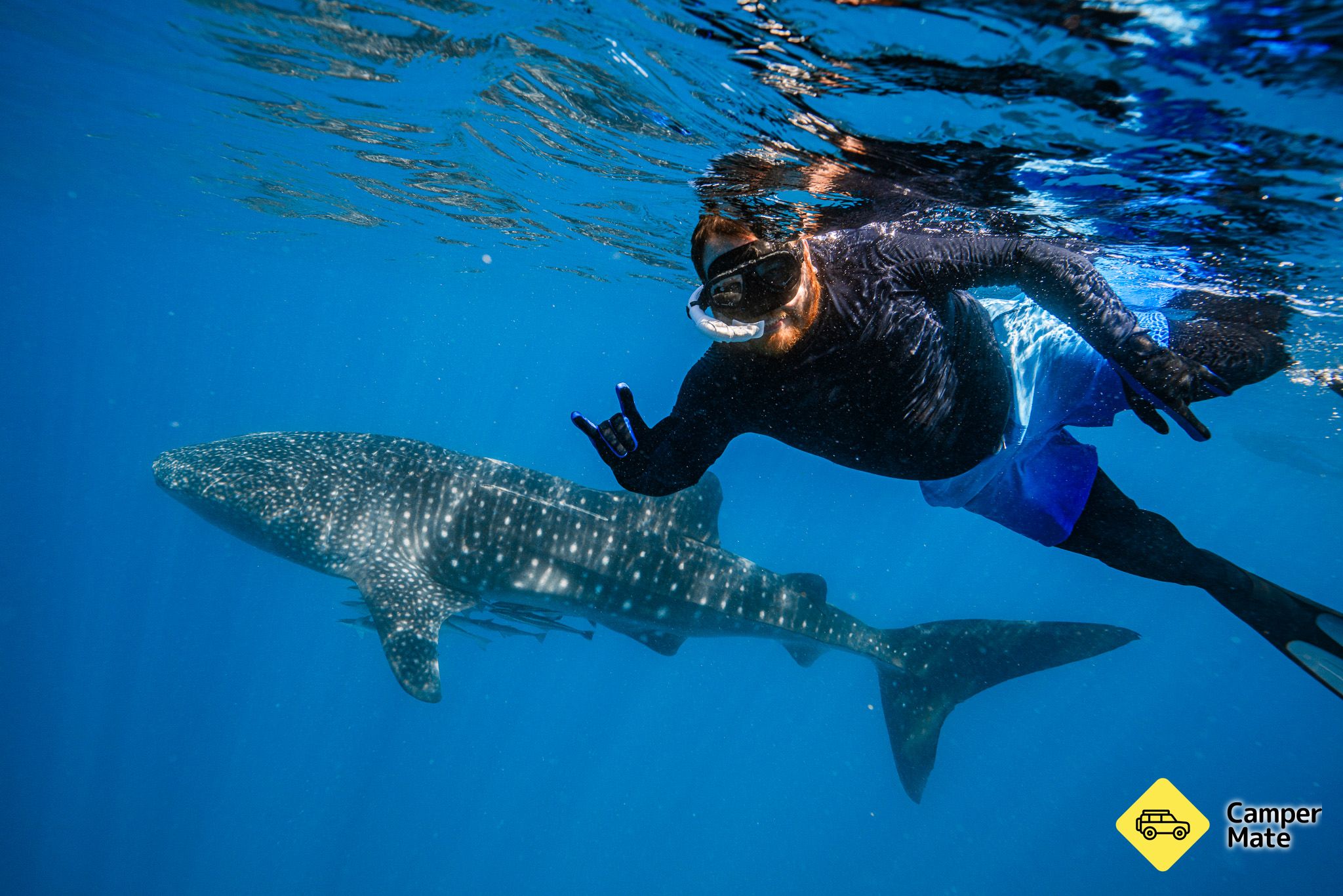 Live Ningaloo - Image 2