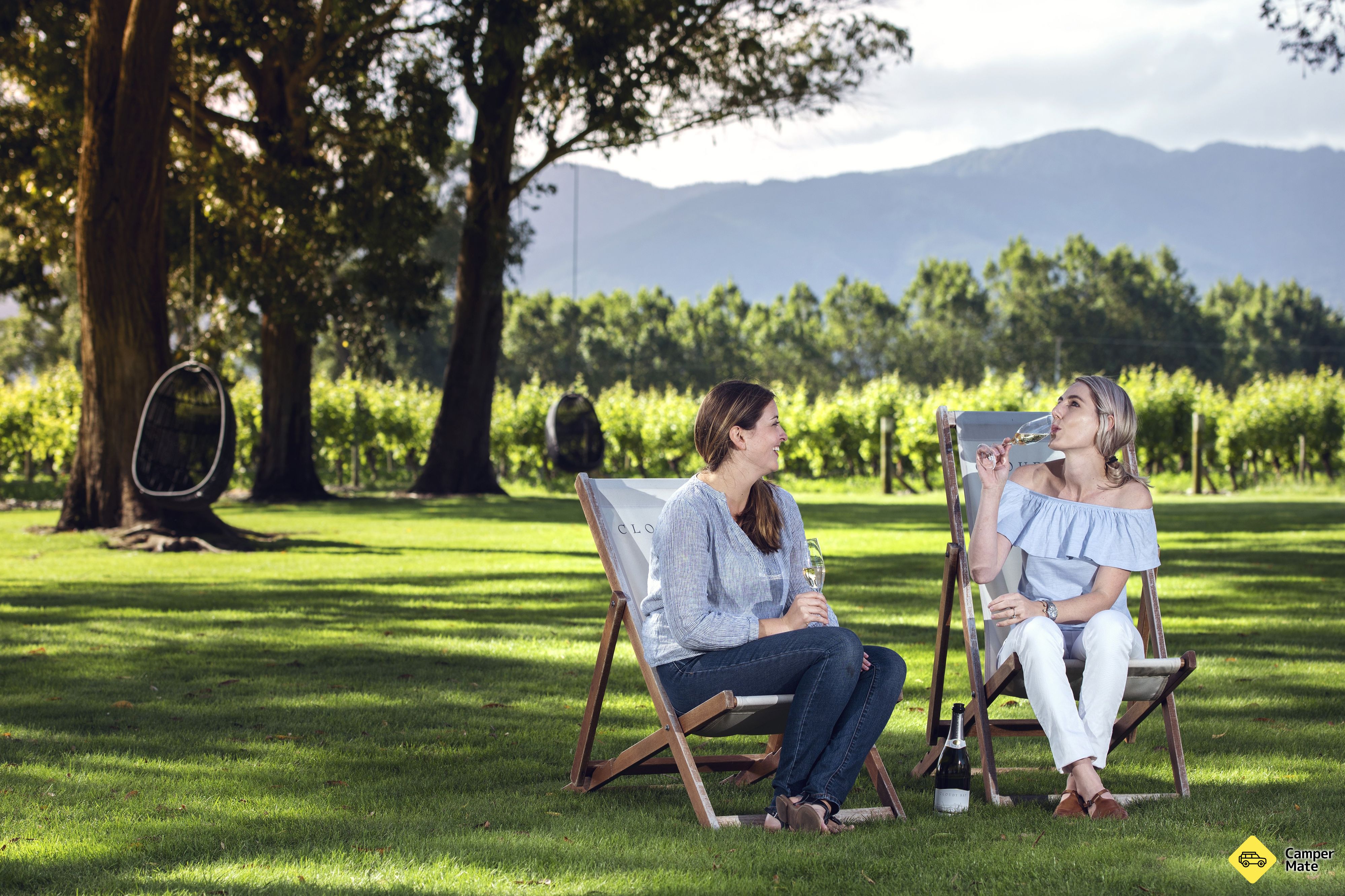 Cloudy Bay Winery - Marlborough - Image 3