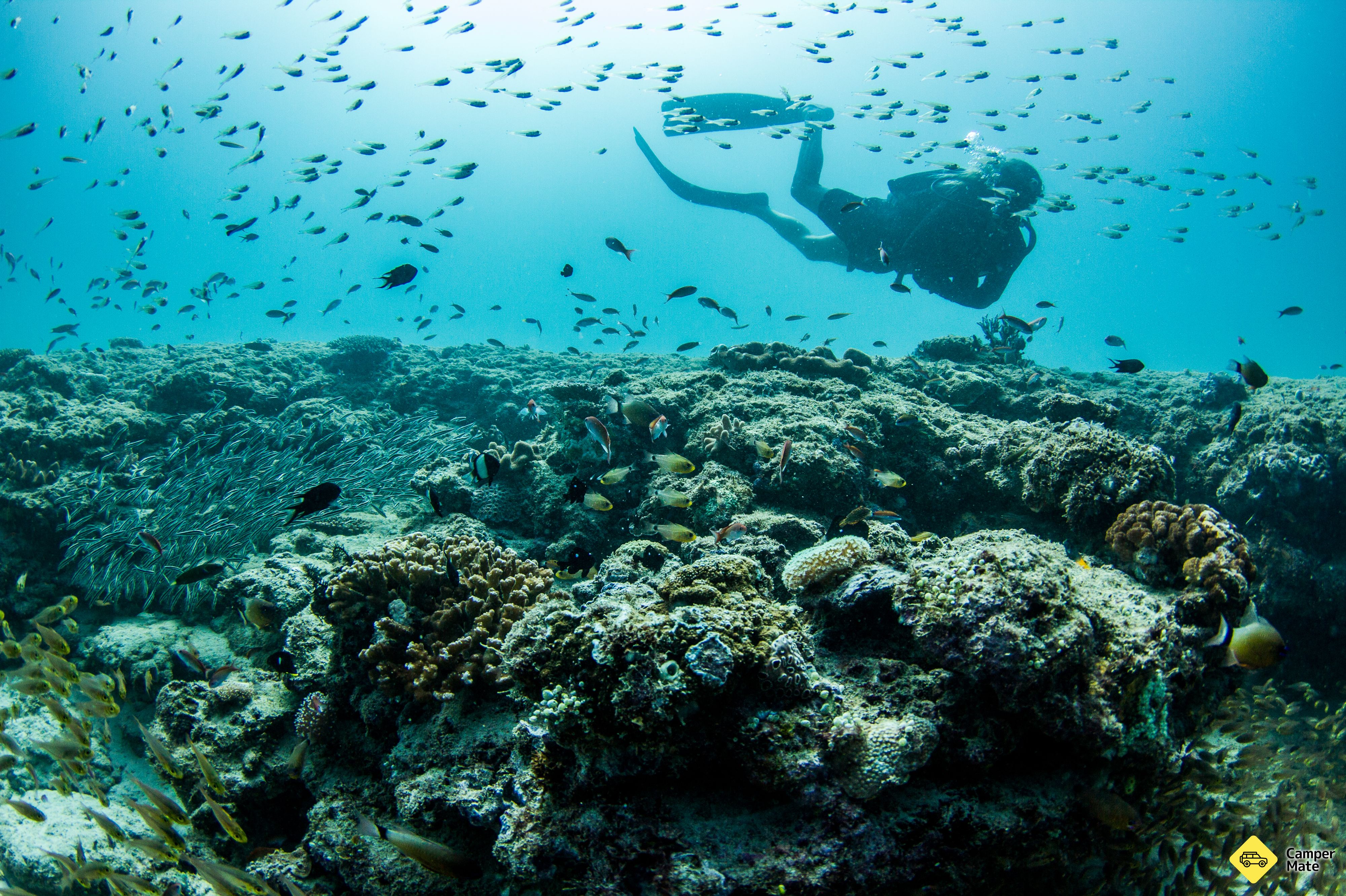 Oyster Stacks Zone de plongée et de plongée - Image 2