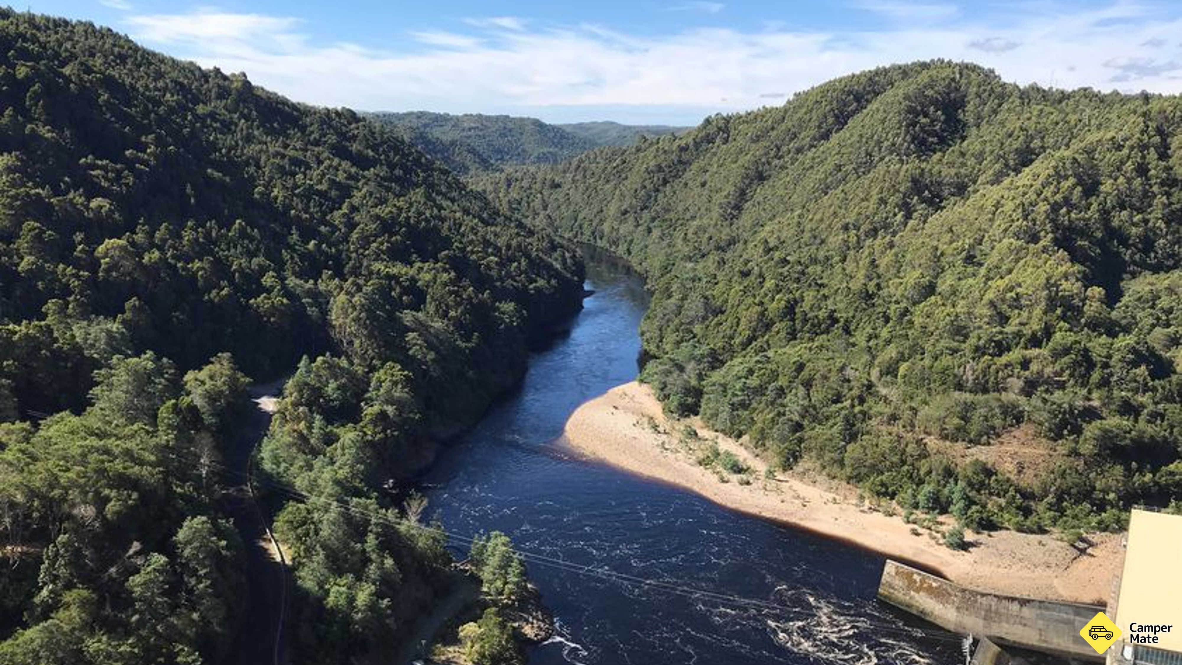 Reece DAM