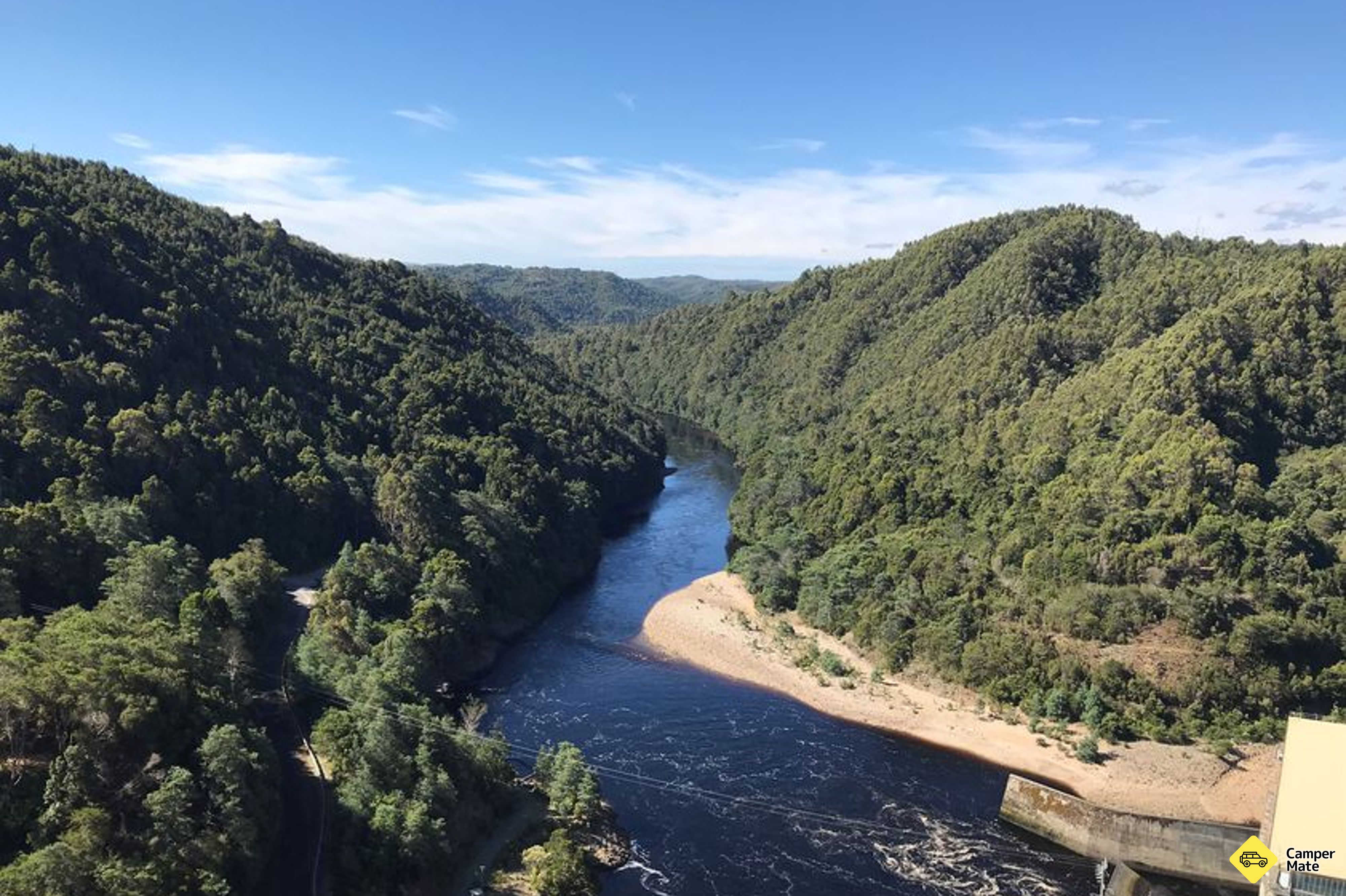 Reece DAM