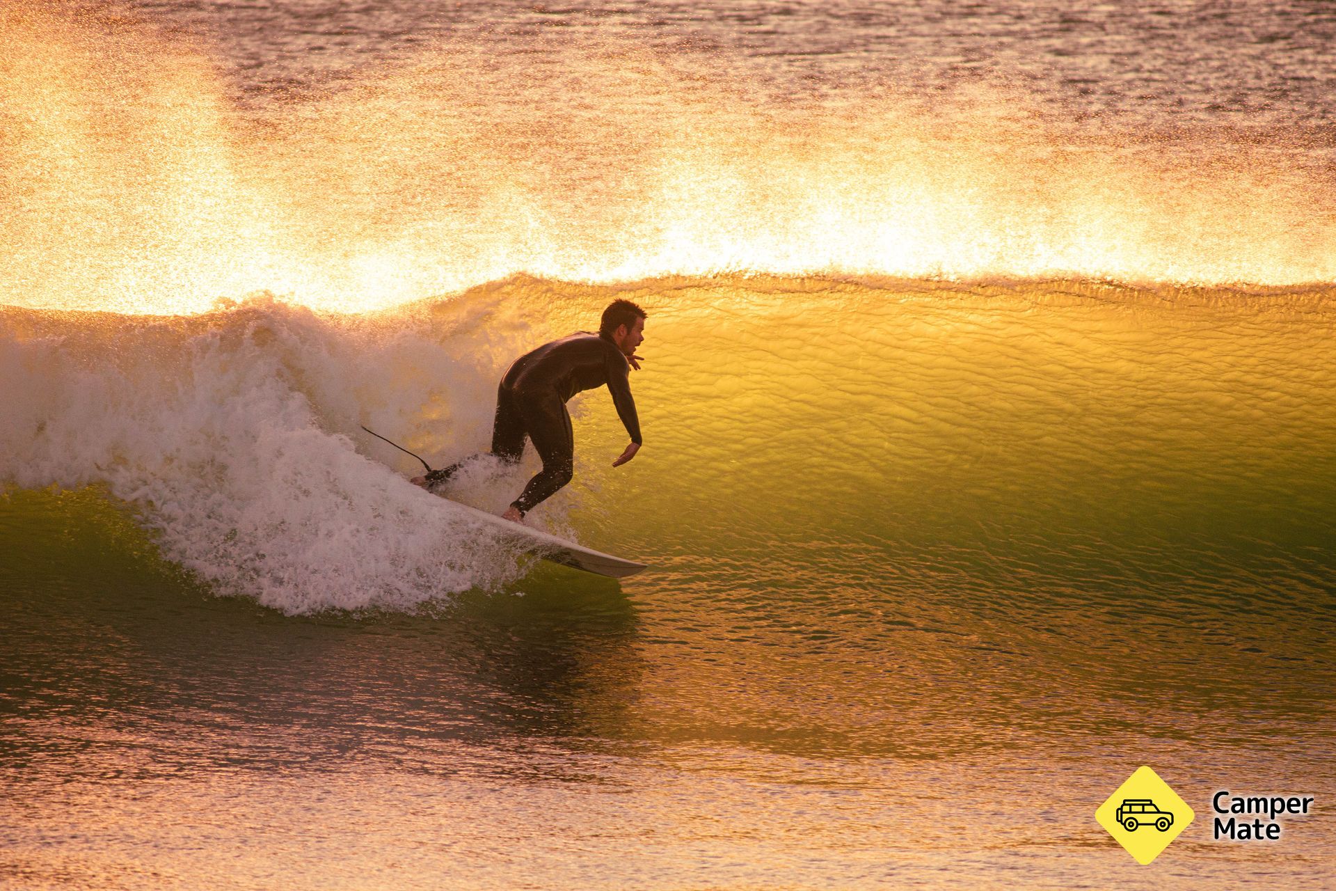 Kumera Patch Surf Break