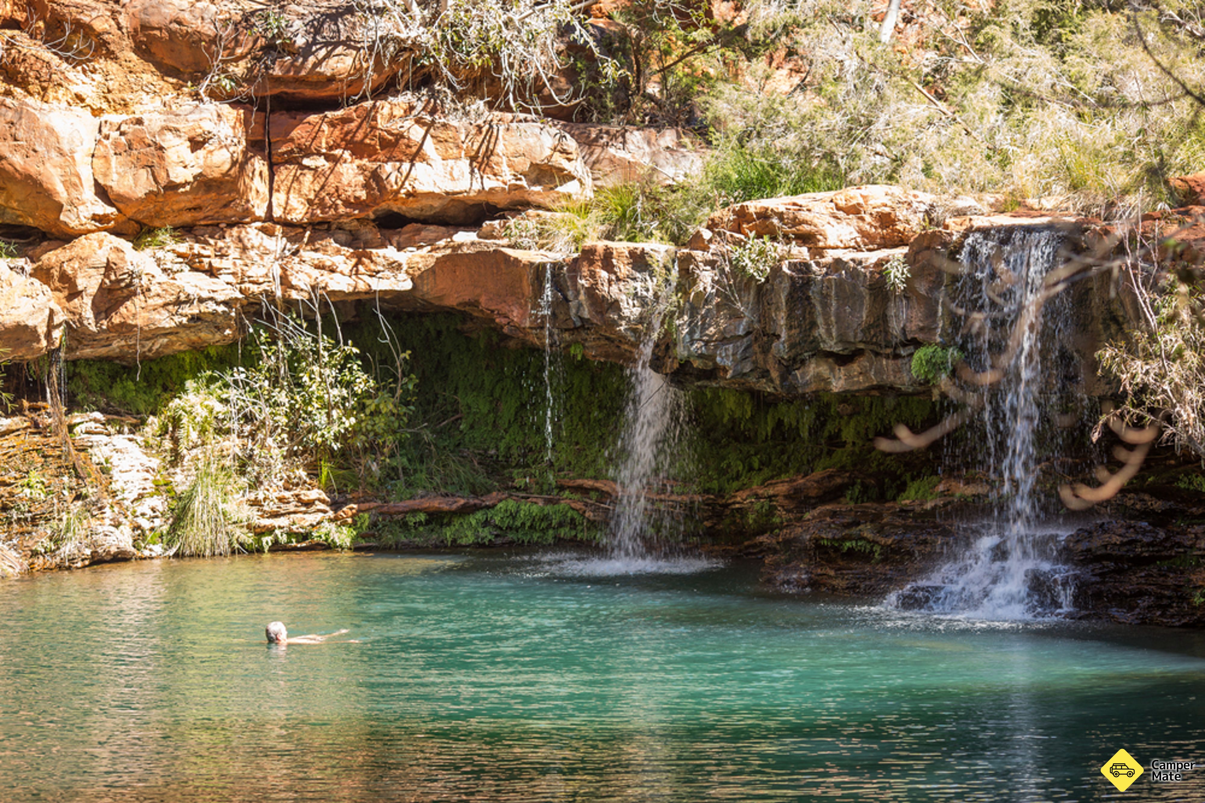 Fern Pool - Image 2