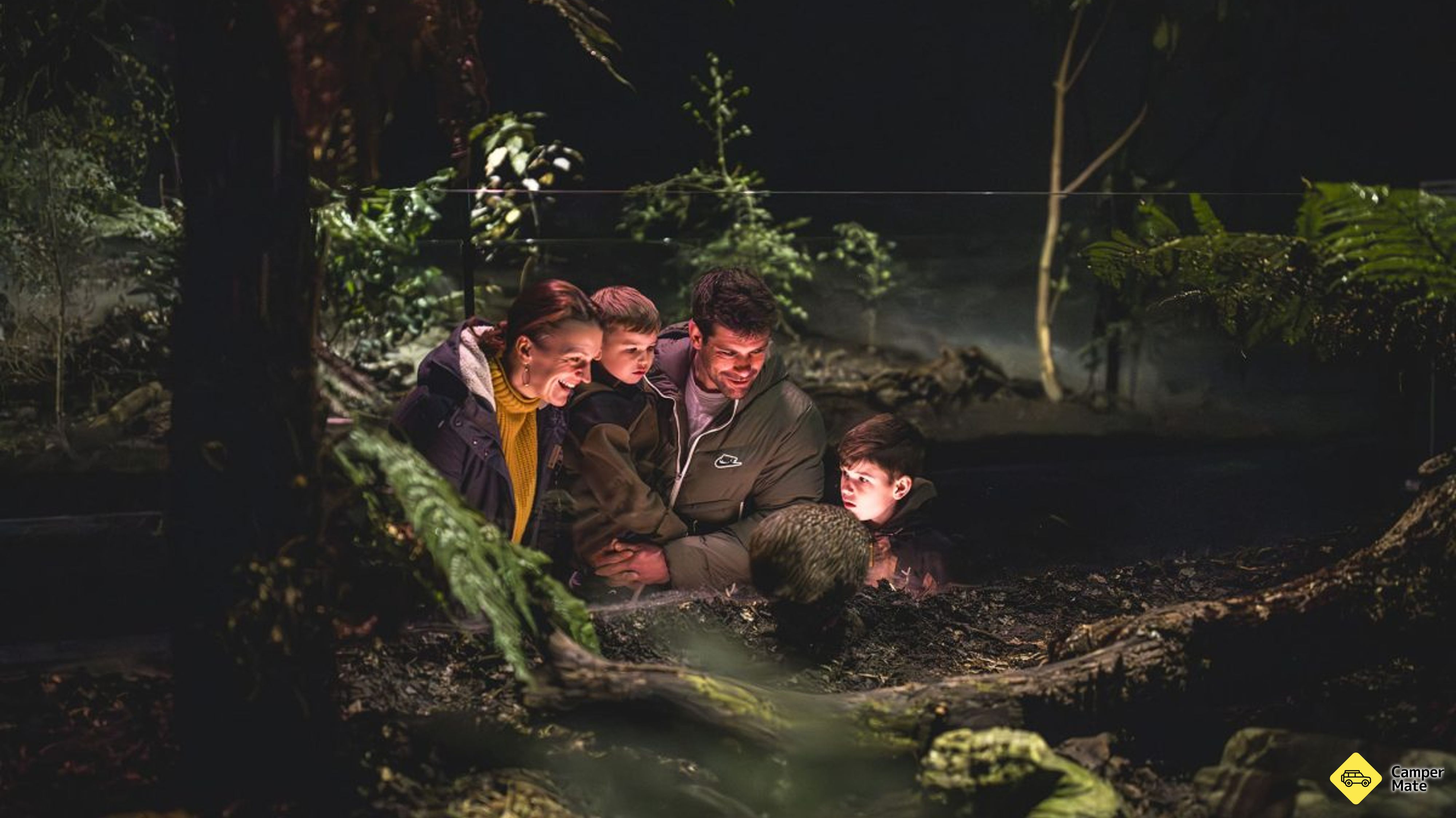 Le Kiwi Park de Queenstown