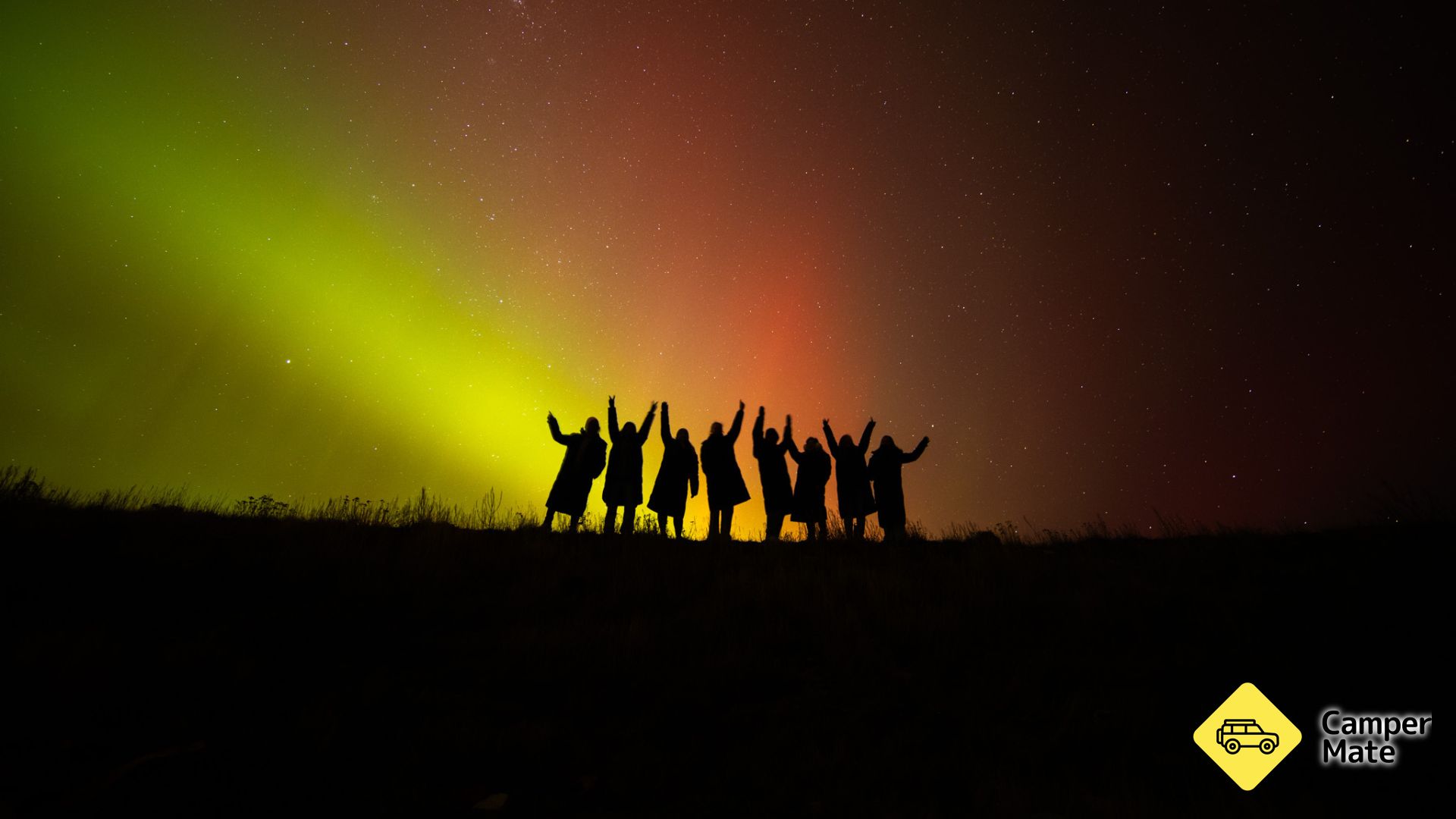 Twizel Stargazing Tour