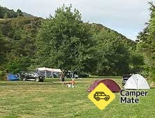 Shag Stream Campsite