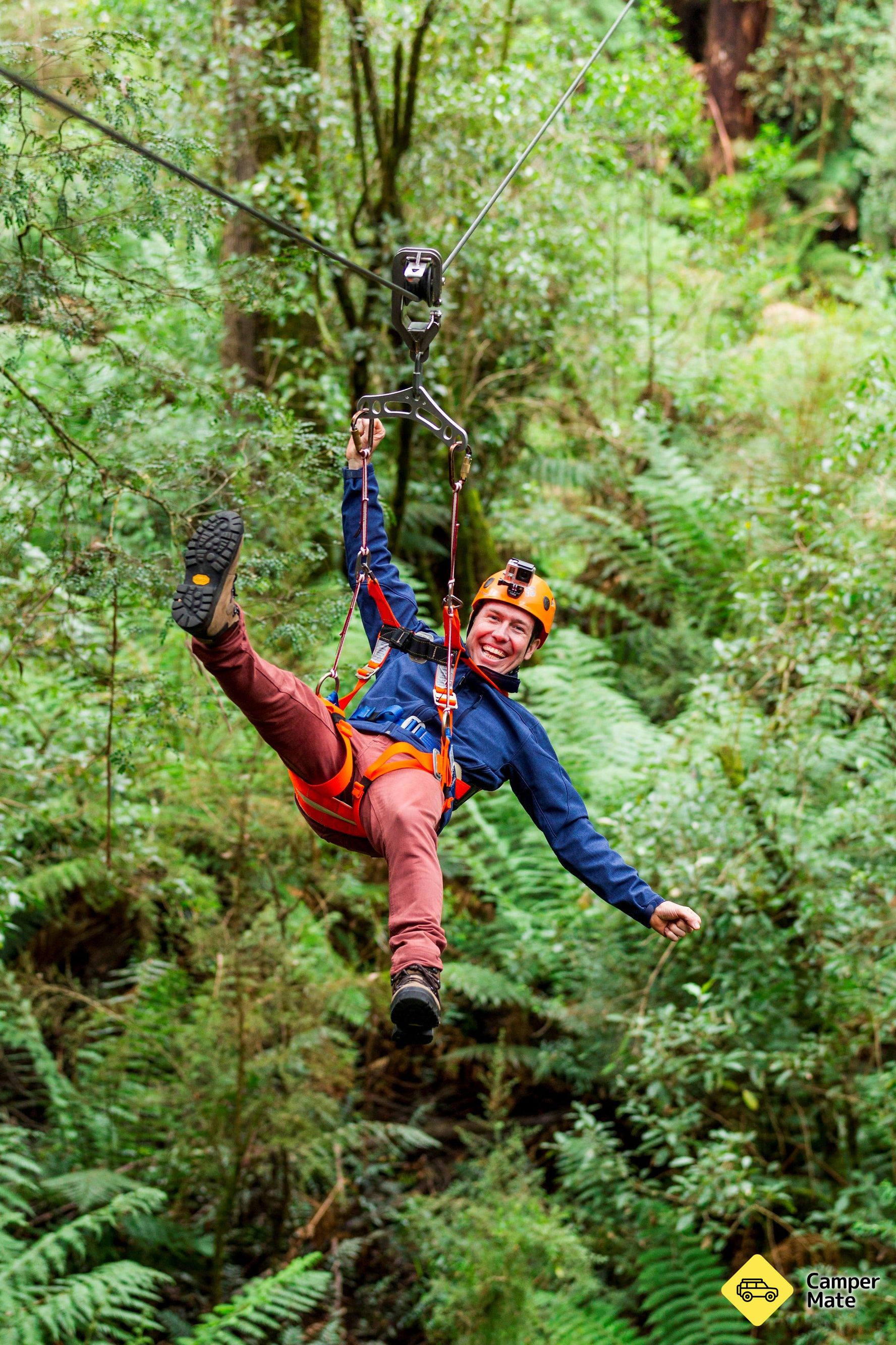 Otway Fly Treetop Adventures