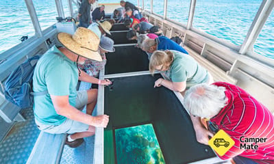Great Keppel Island Glass Bottom Boat Tour