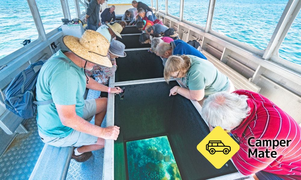 Great Keppel Island Glass Bottom Boat Tour के बारे में टिप्पणियाँ