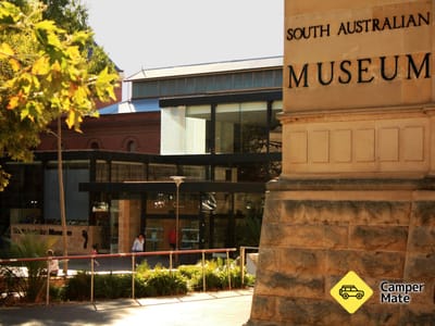 South Australian Museum
