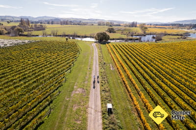 Waipara Valley Vineyard Trail