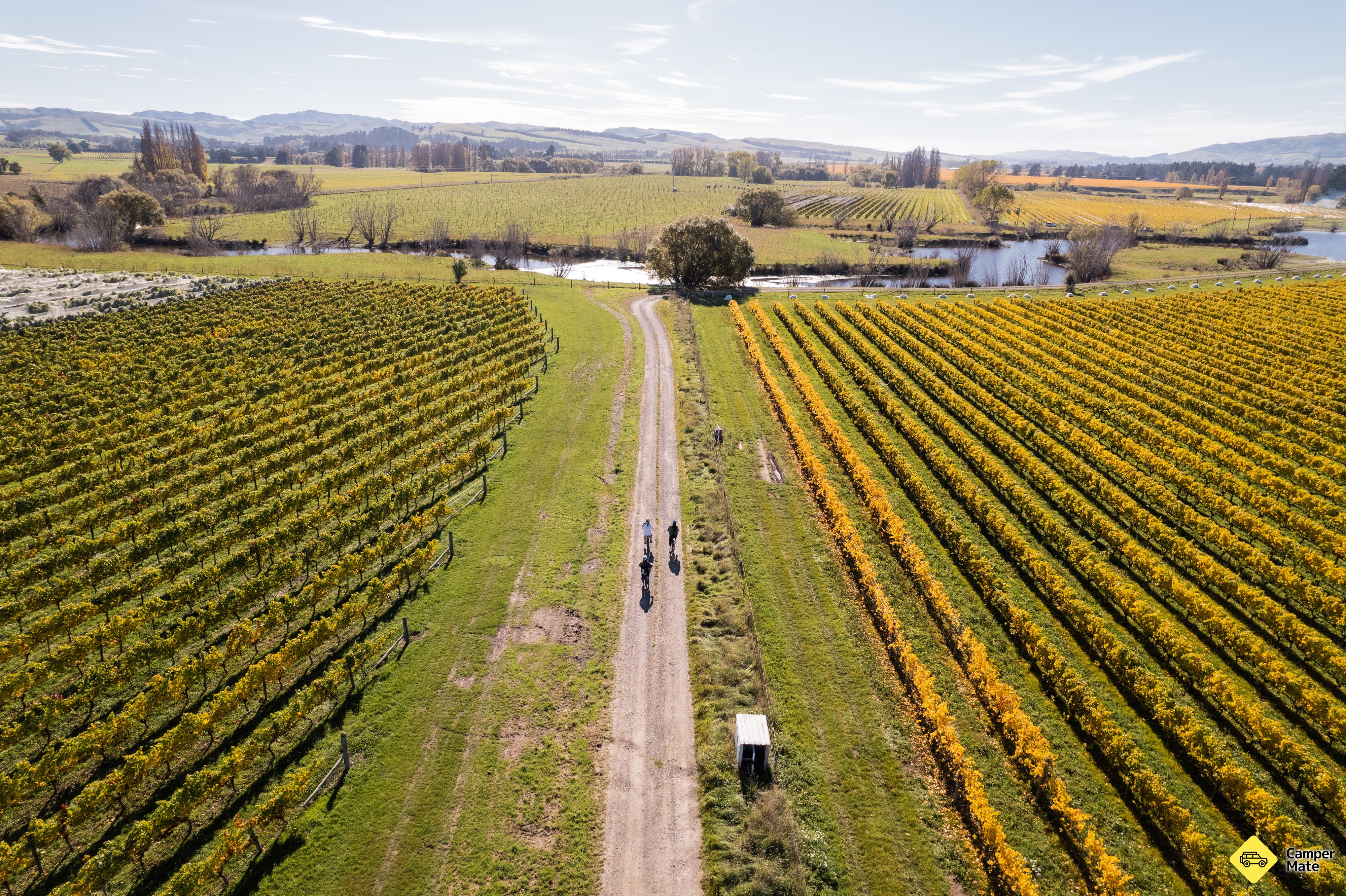 Waipara Valley Vineyard Trail