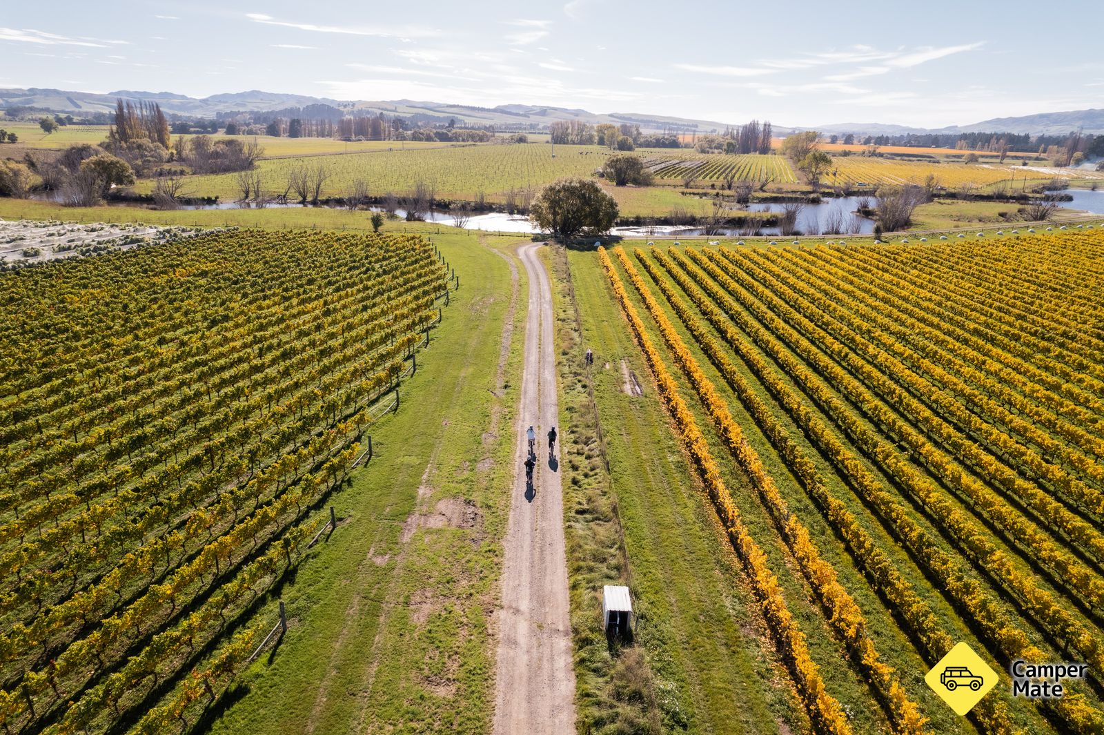Waipara Valley Vineyard Trail
