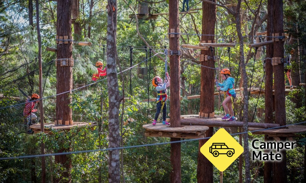 האותיות הקטנות של Treetop Adventure Coffs Harbour - Image 2