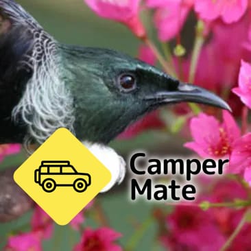 Native Bird Recovery Centre के बारे में टिप्पणियाँ