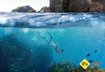 ¡Dive! Tutukaka