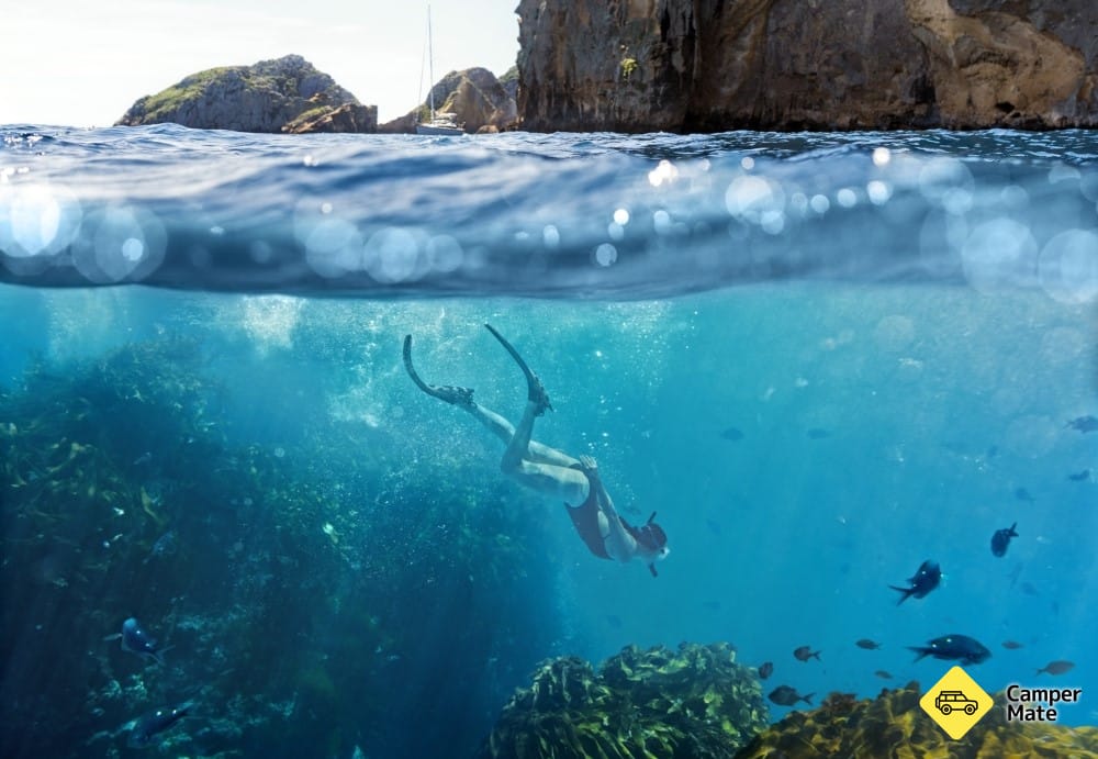Dive! Tutukaka