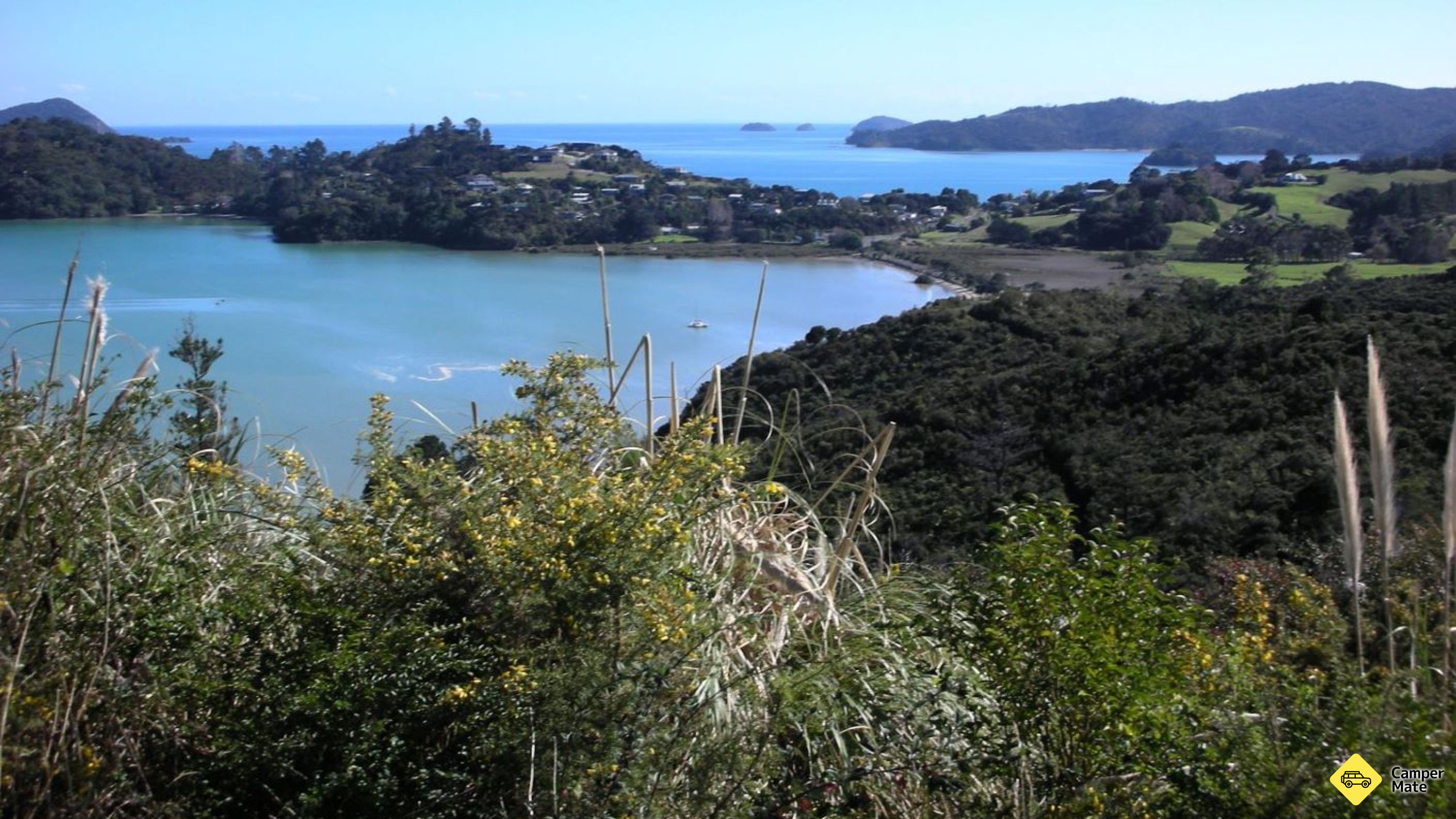 Kauri Block Walk in Long Bay