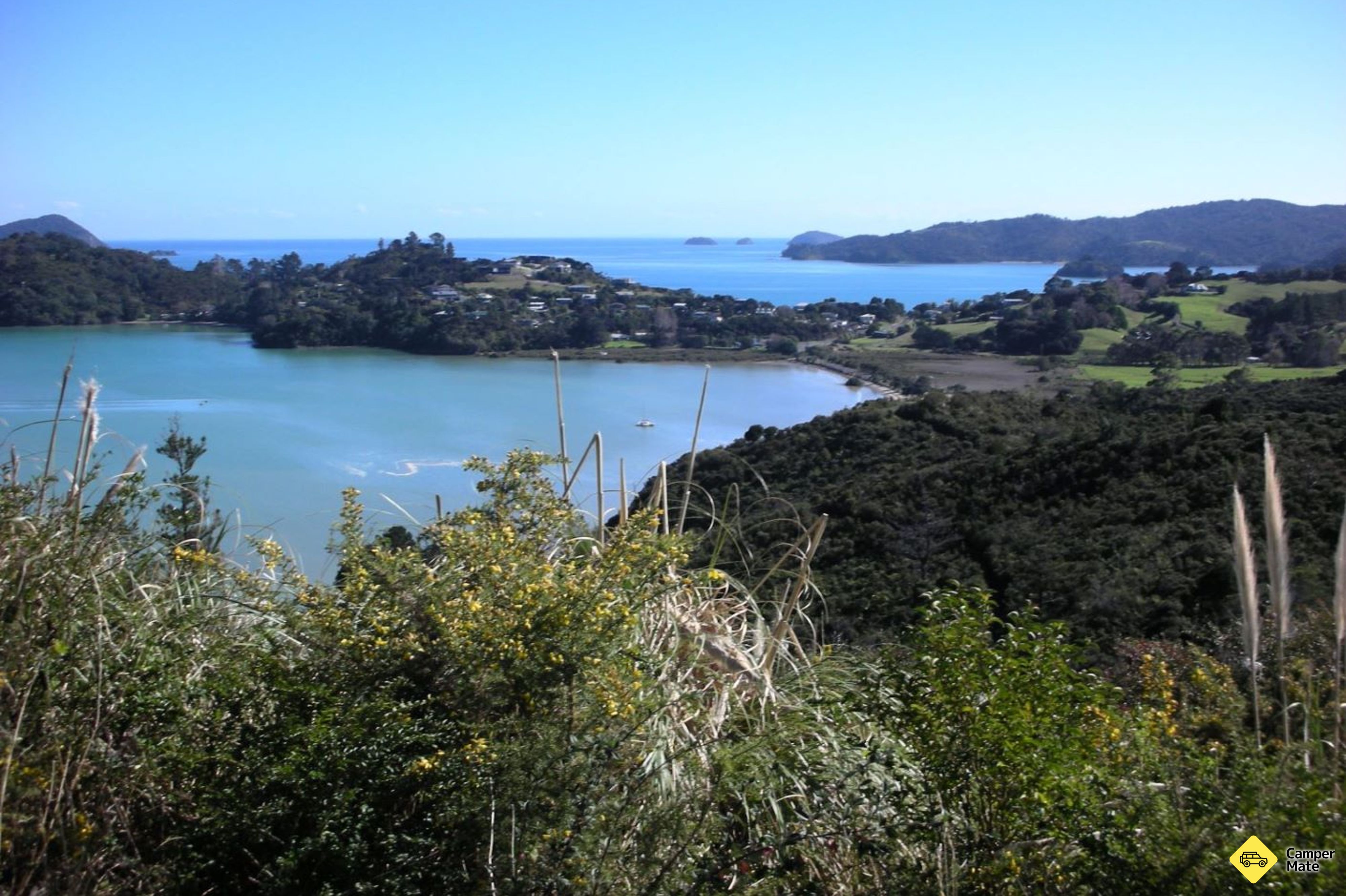 Kauri Block Walk in Long Bay