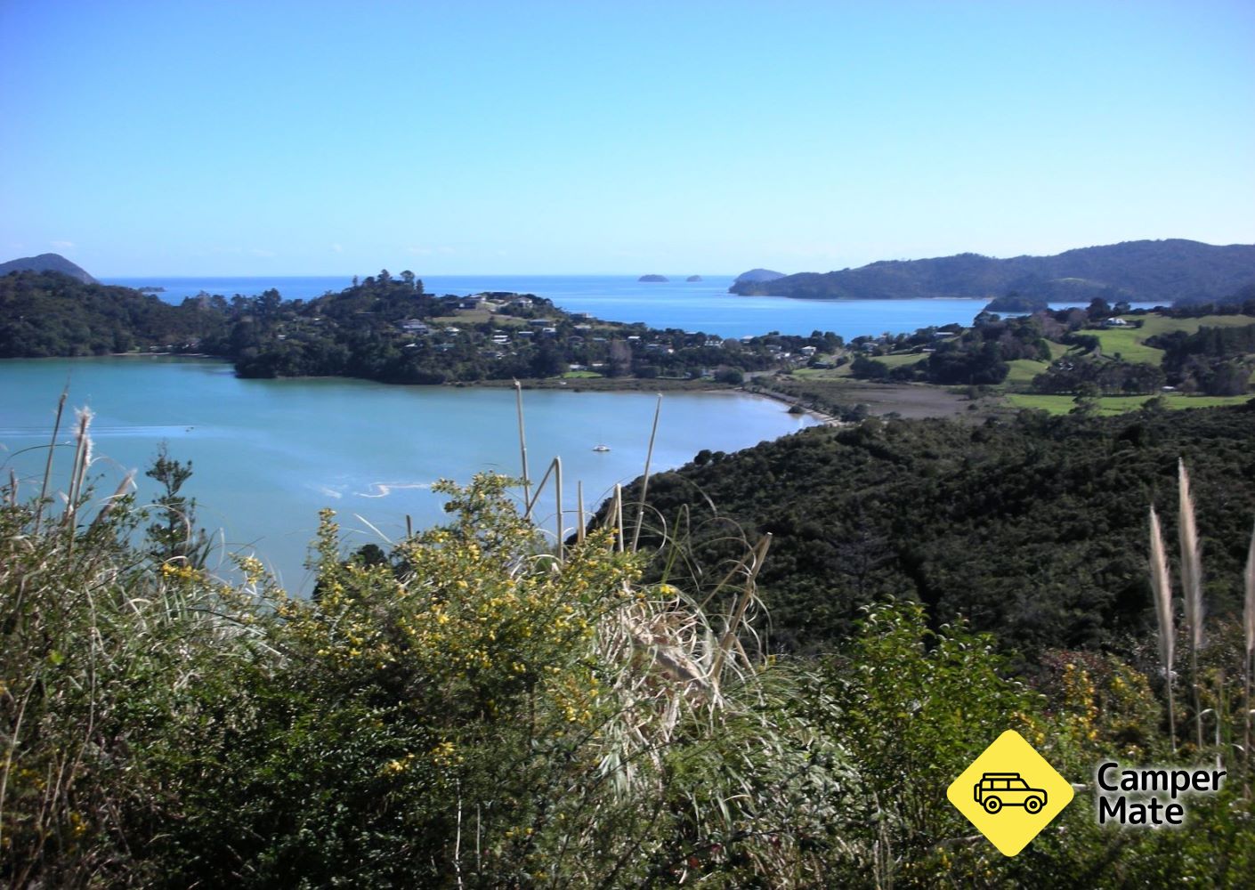 Kauri Block Walk in Long Bay