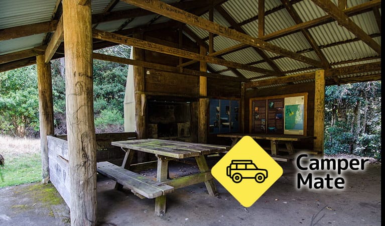 Plateau Beech Campground - Image 3