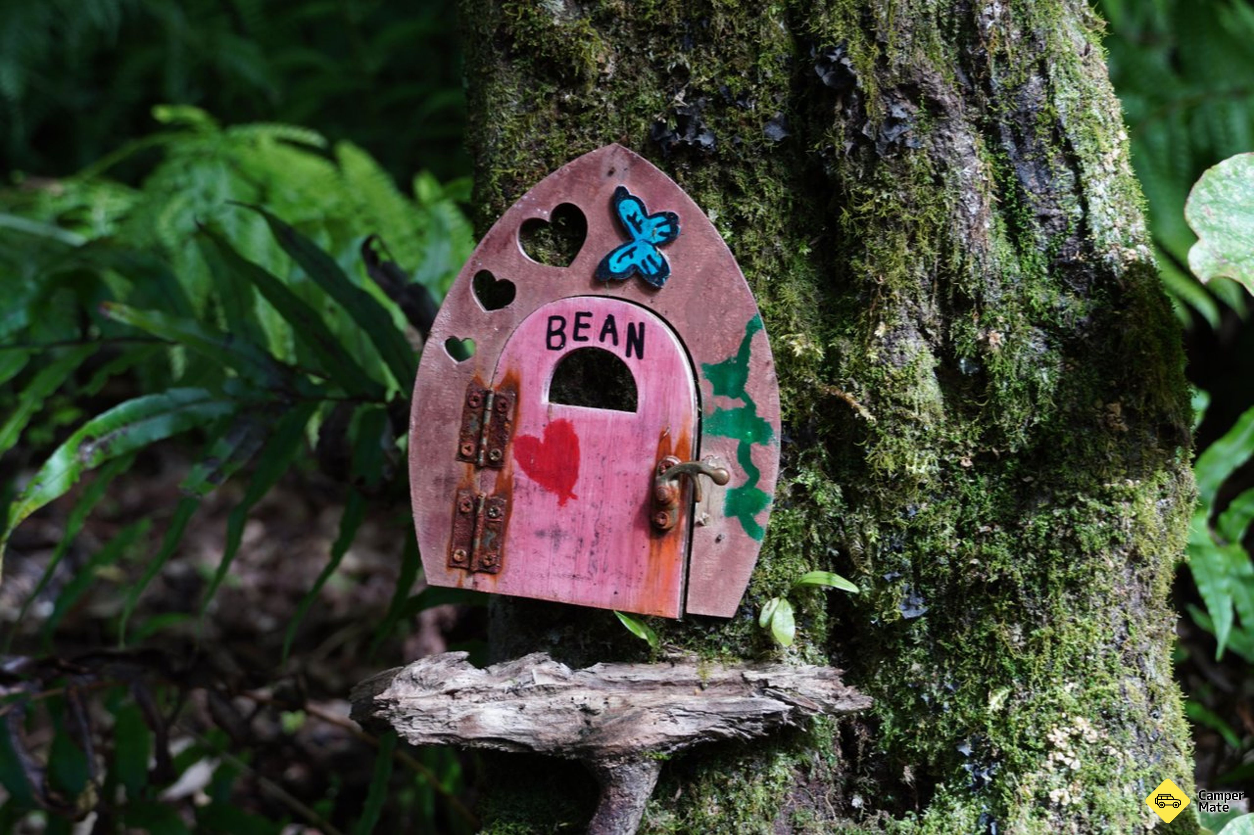 Lake Brunner Fairy Forest - Image 3