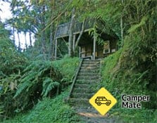 Ohauora Campsite
