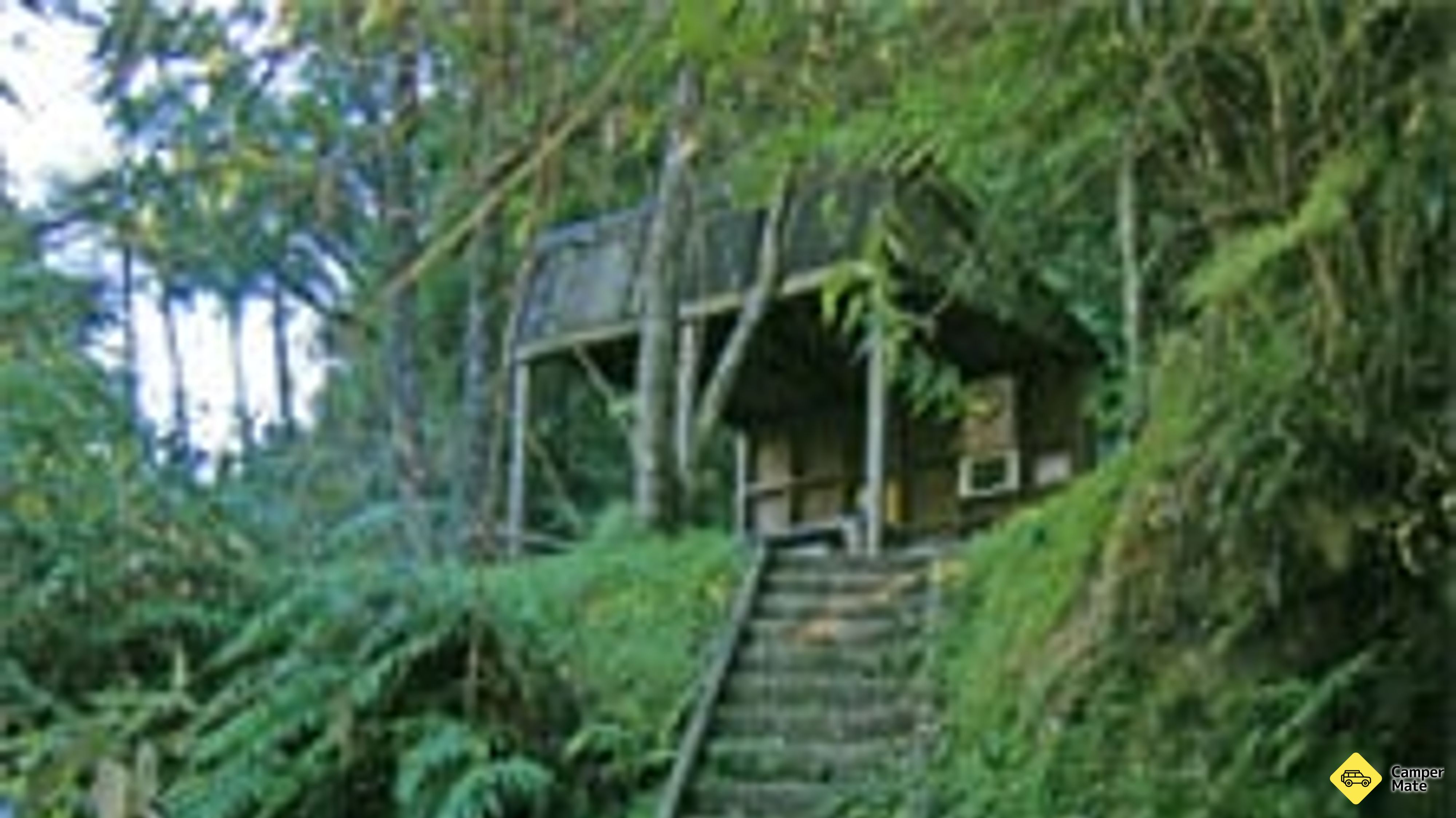 Kampus Ohauora