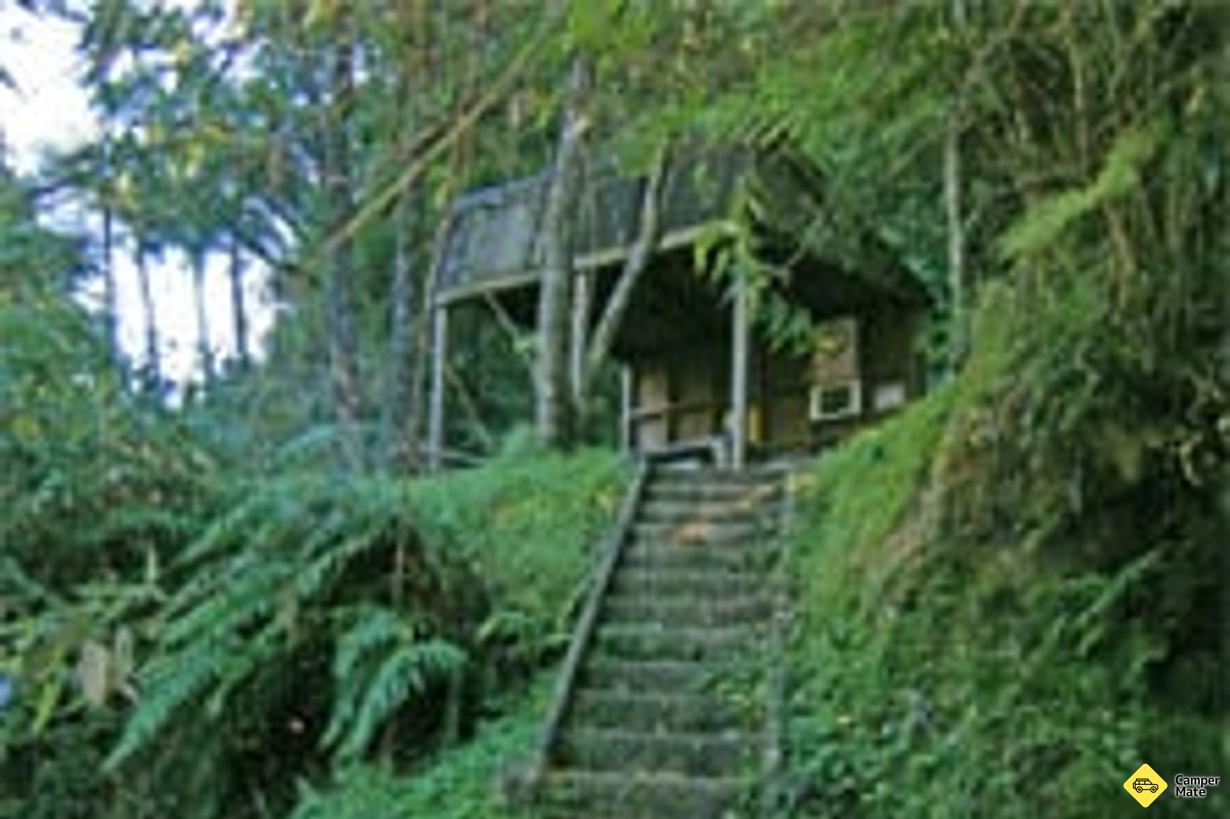 Ohauora Campsite