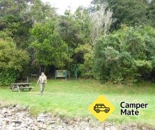 Le camping de Jacobs Bay