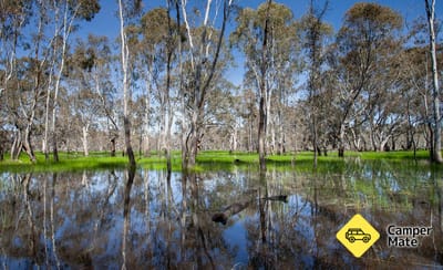 Poocher Swamp Rest Area