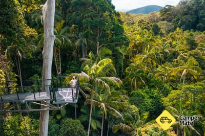 Tamborine Rainforest Skywalk