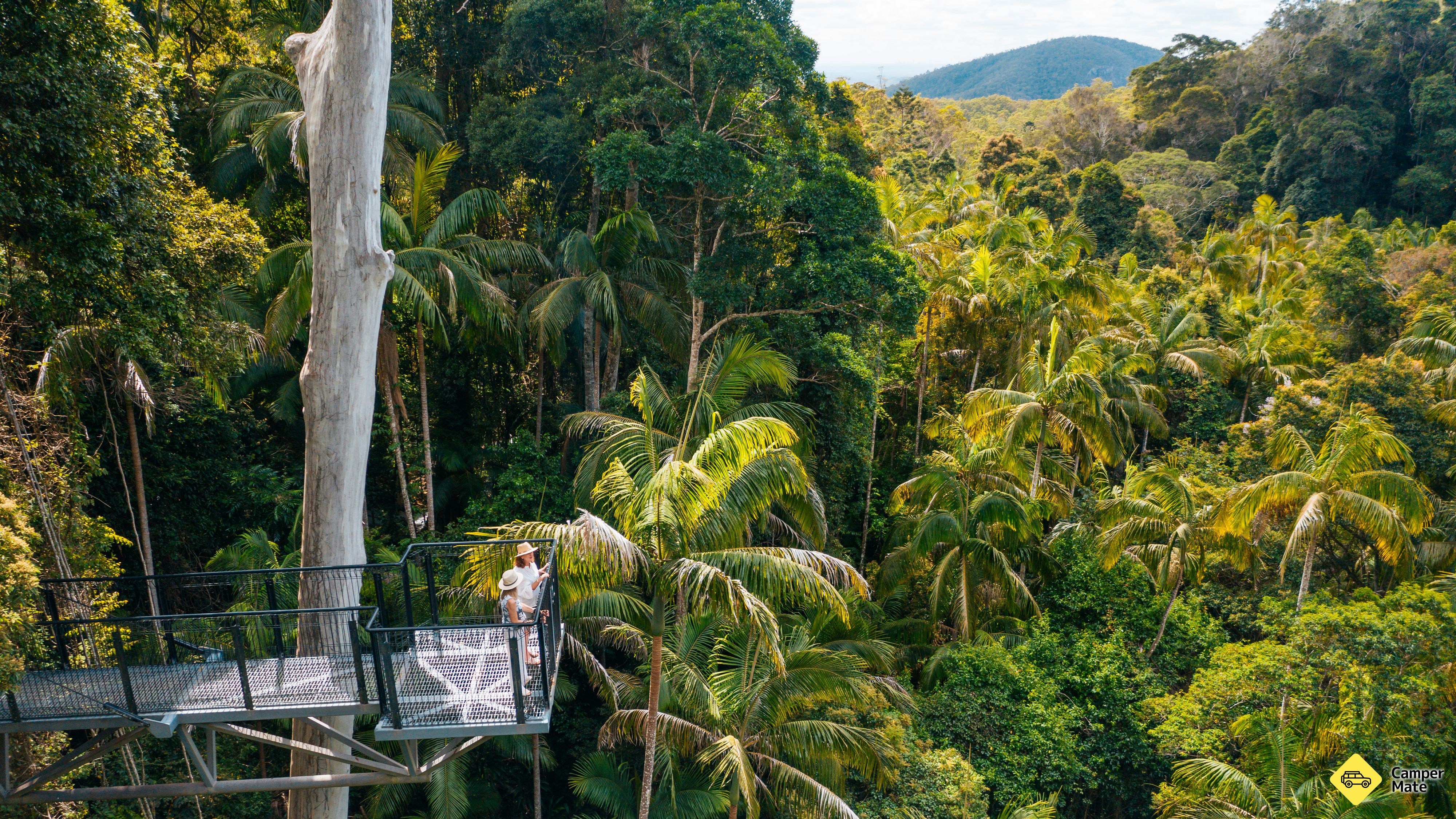 Restauranger i närheten av Tamborine Rainforest Skywalk
