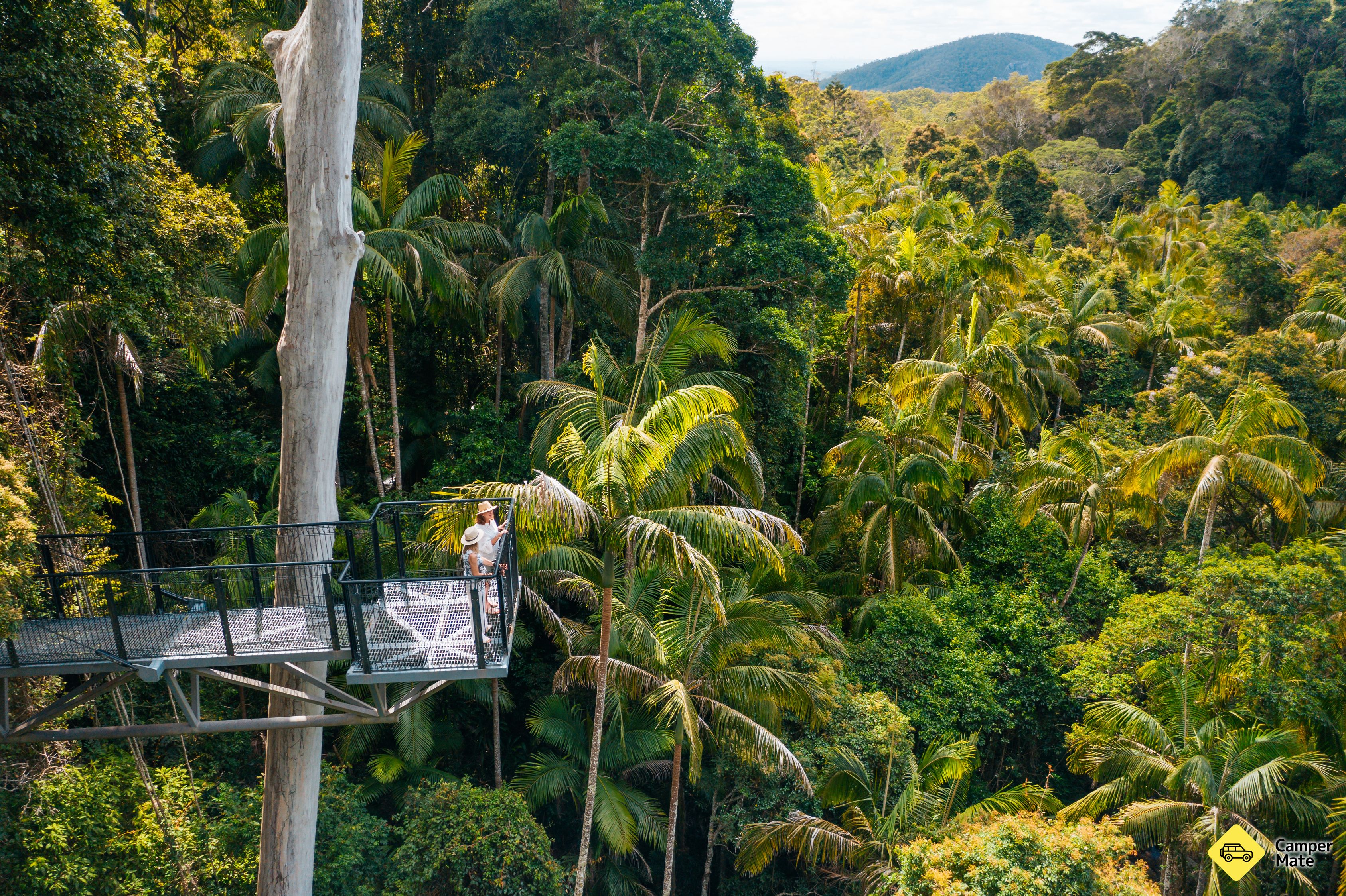 Tamborine Rainforest Skywalk