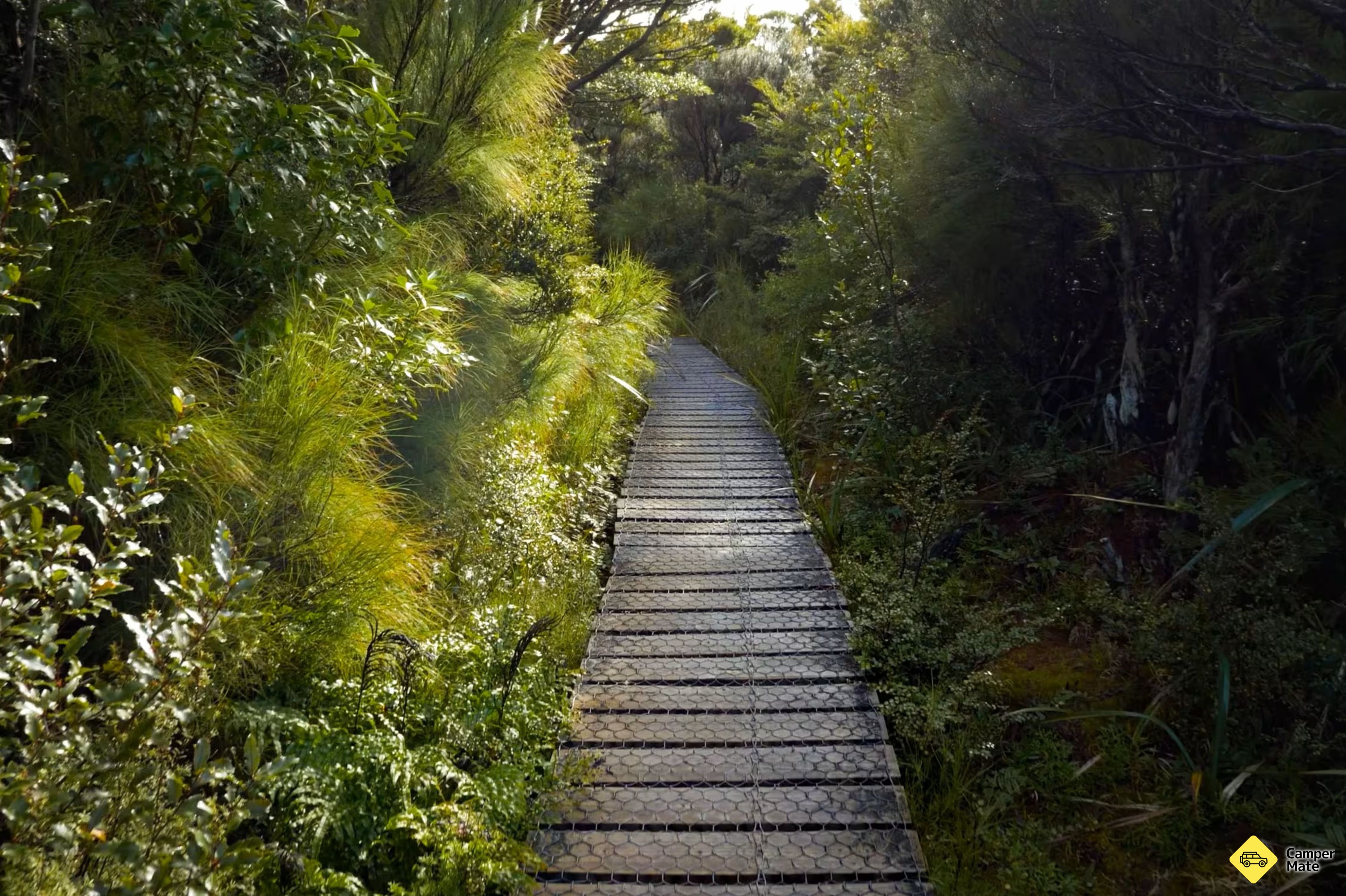 Kære Annie Track - Image 2