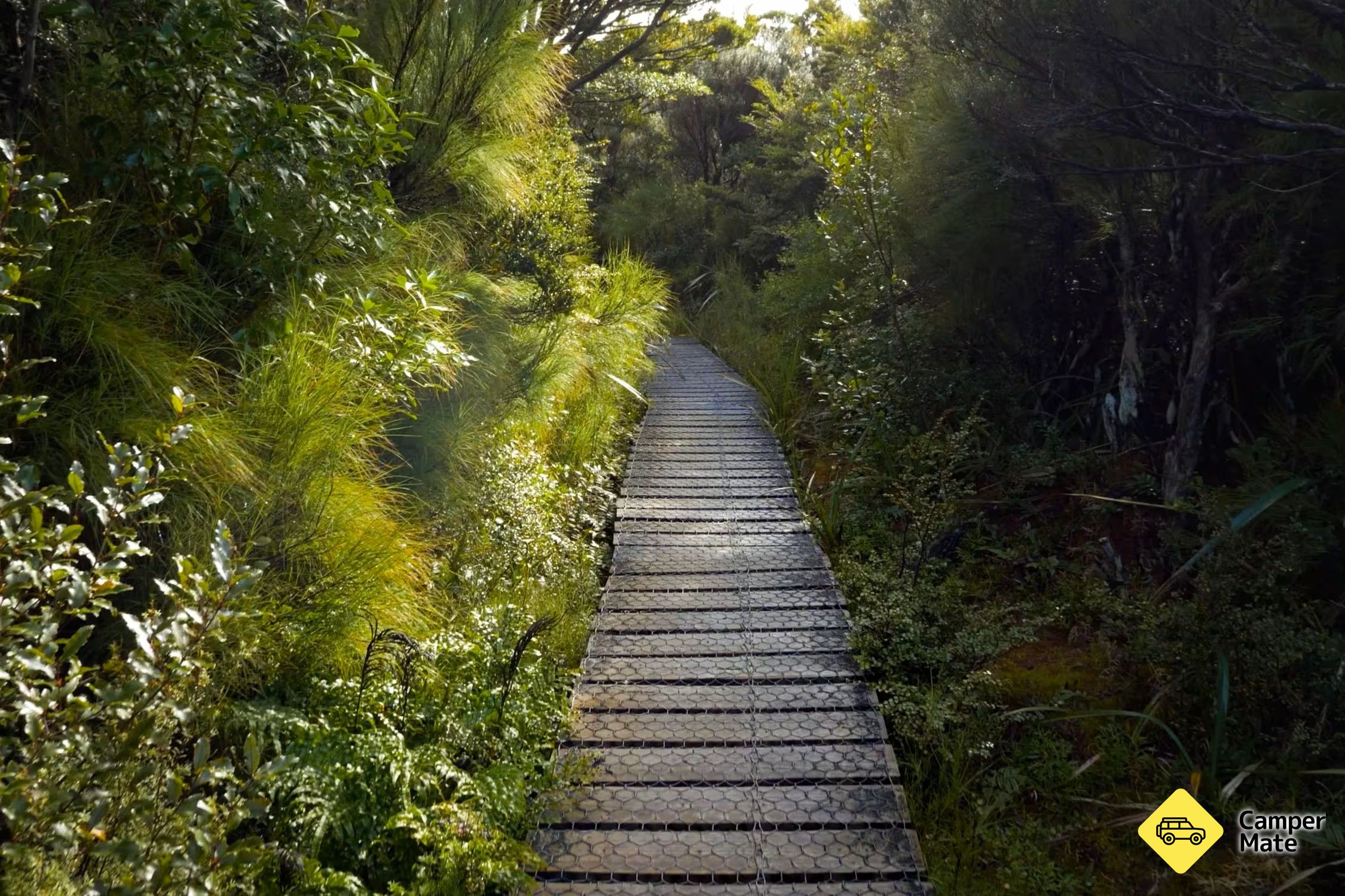 Gentle Annie Track - Image 2