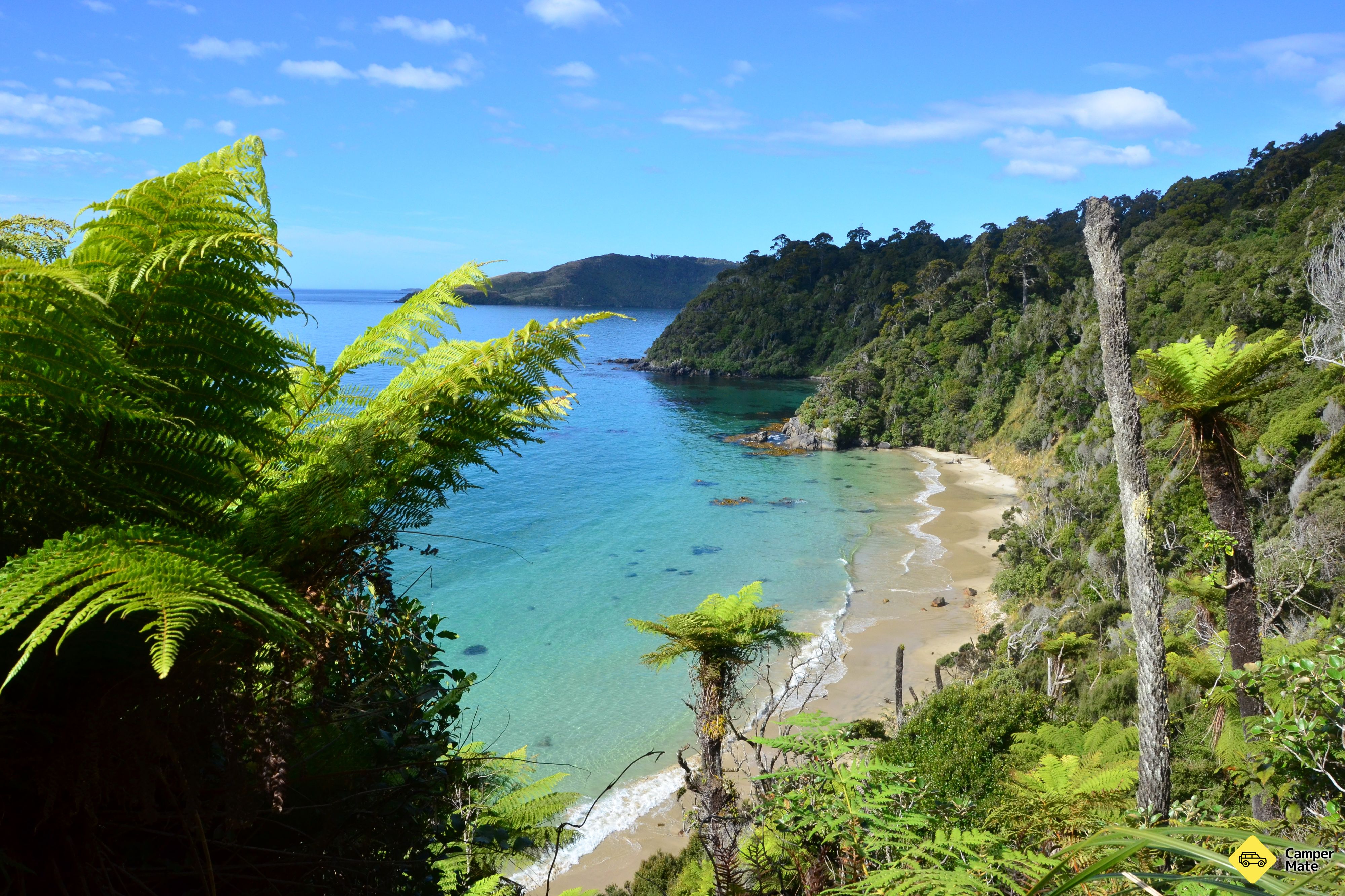 Rakiura Track - Image 2