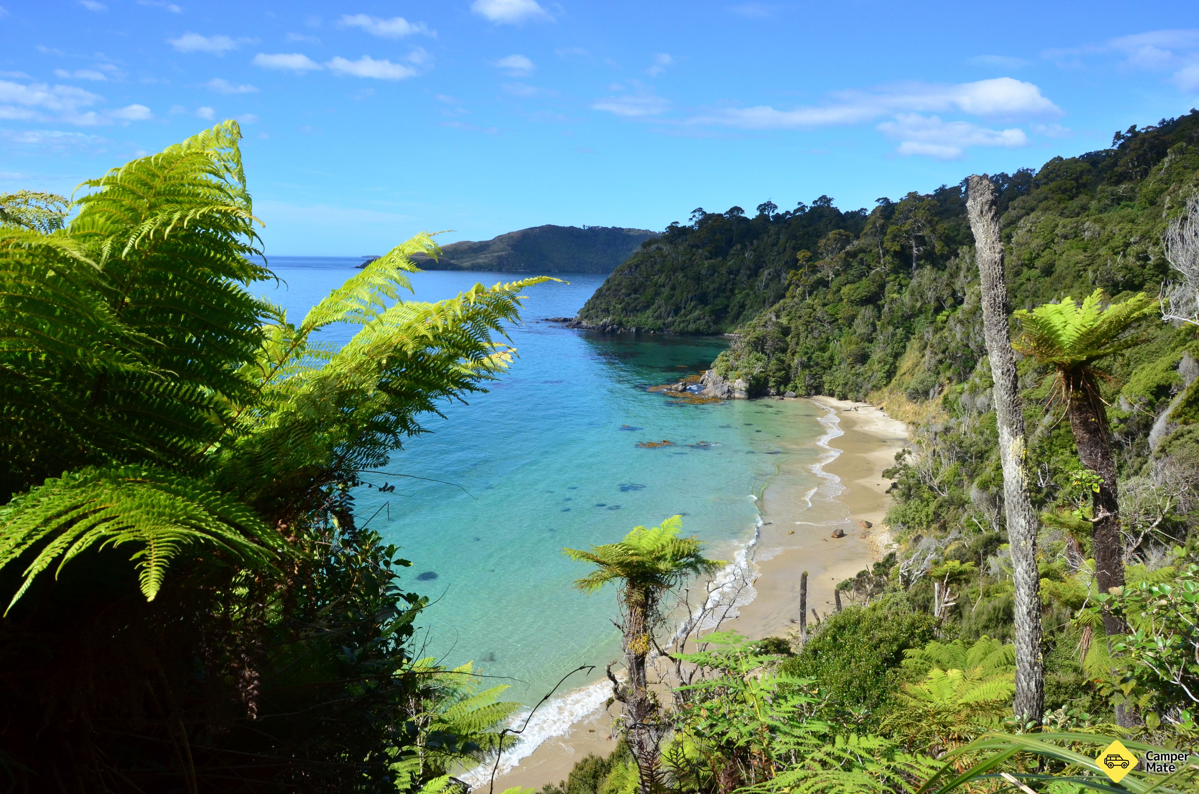 Rakiura Track - Image 2