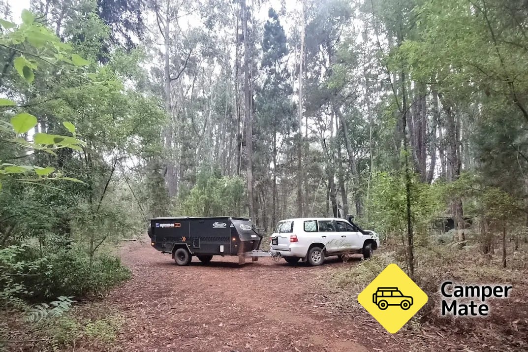 Willow Springs Camping Area - Image 2